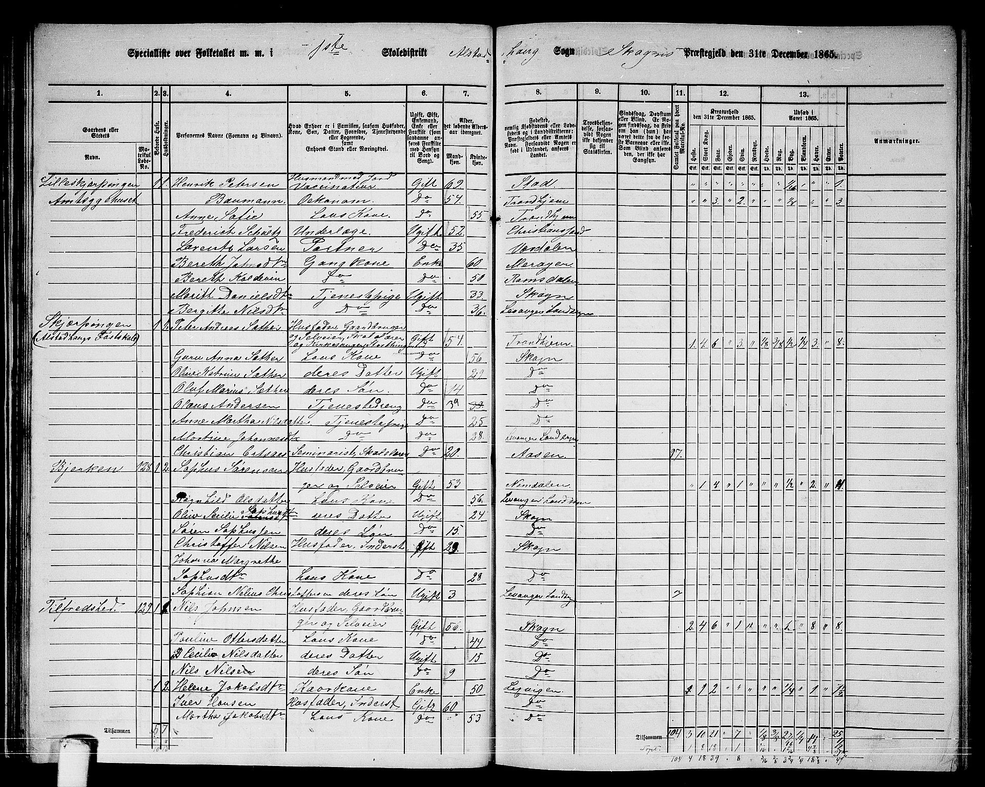 RA, 1865 census for Skogn, 1865, p. 43