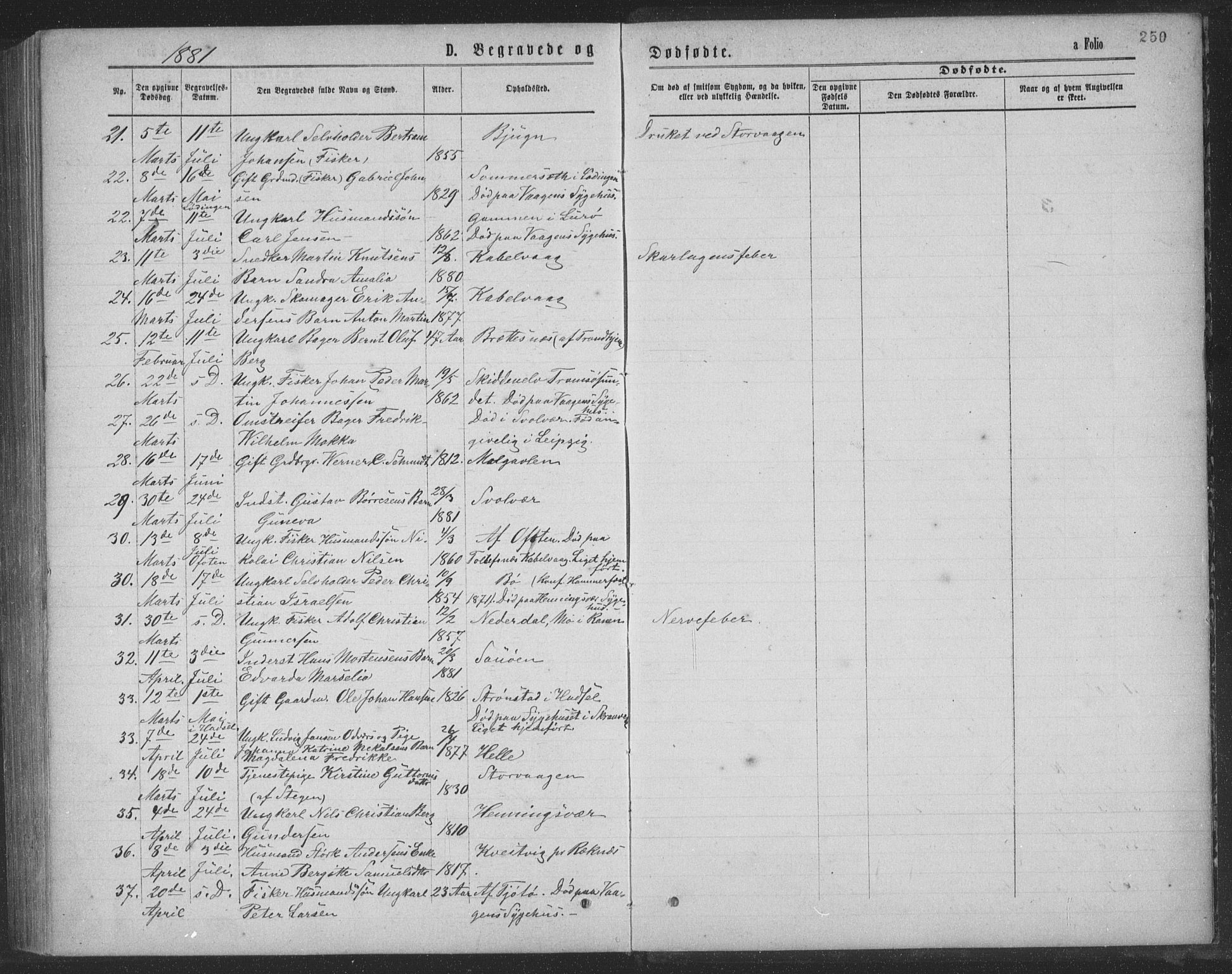 Ministerialprotokoller, klokkerbøker og fødselsregistre - Nordland, AV/SAT-A-1459/874/L1075: Parish register (copy) no. 874C04, 1876-1883, p. 250