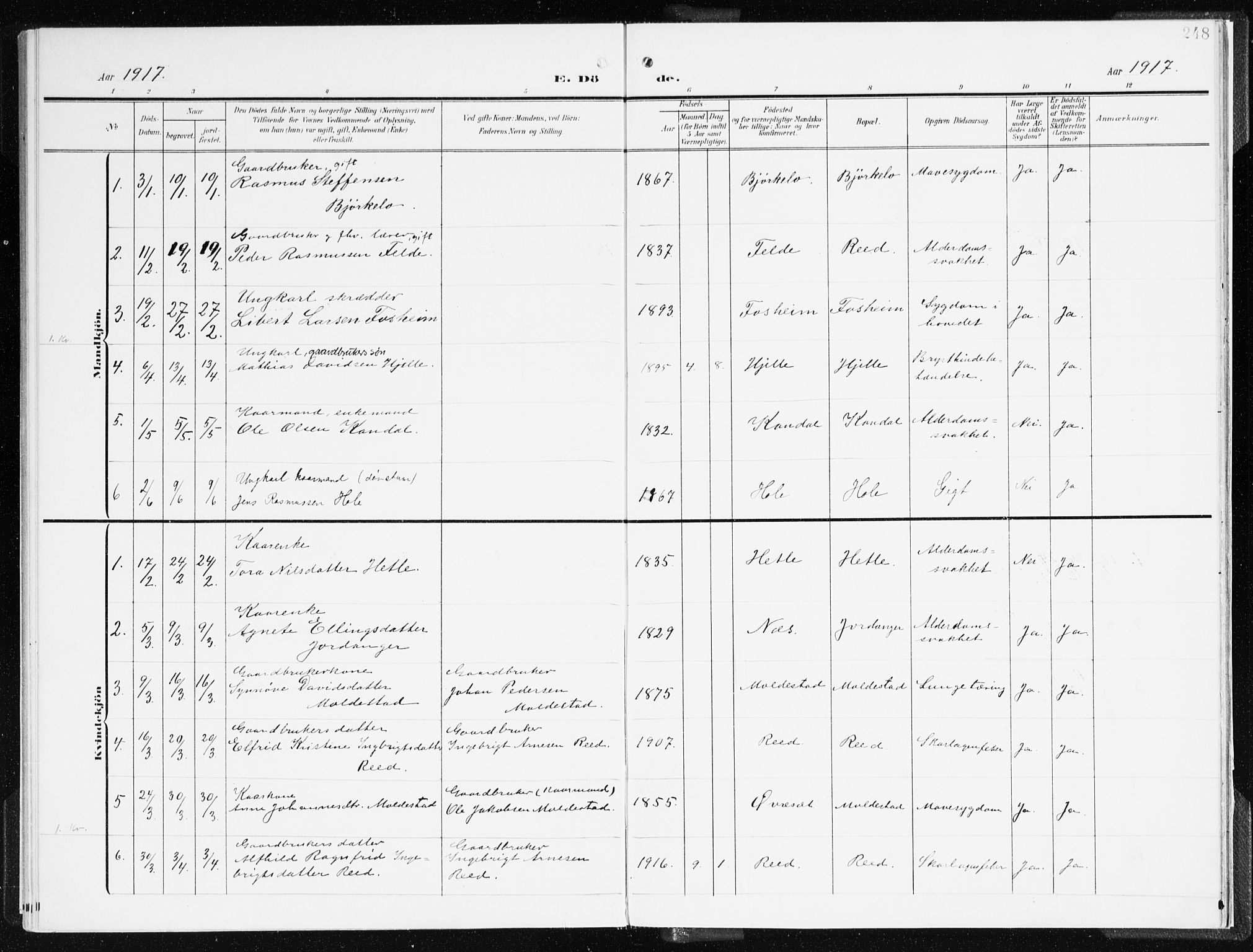 Gloppen sokneprestembete, AV/SAB-A-80101/H/Haa/Haac/L0003: Parish register (official) no. C 3, 1904-1921, p. 248