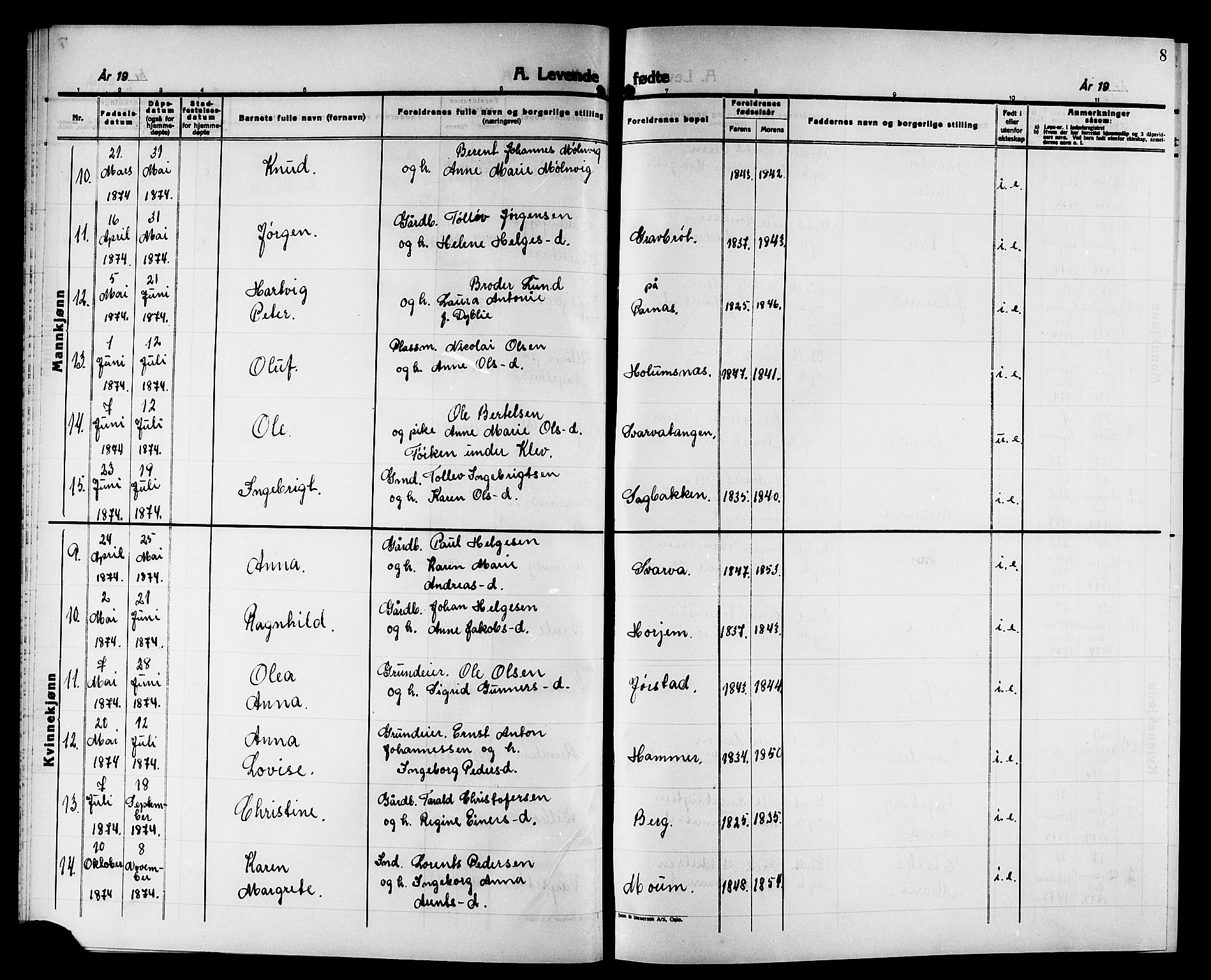 Ministerialprotokoller, klokkerbøker og fødselsregistre - Nord-Trøndelag, AV/SAT-A-1458/749/L0486: Parish register (official) no. 749D02, 1873-1887, p. 8