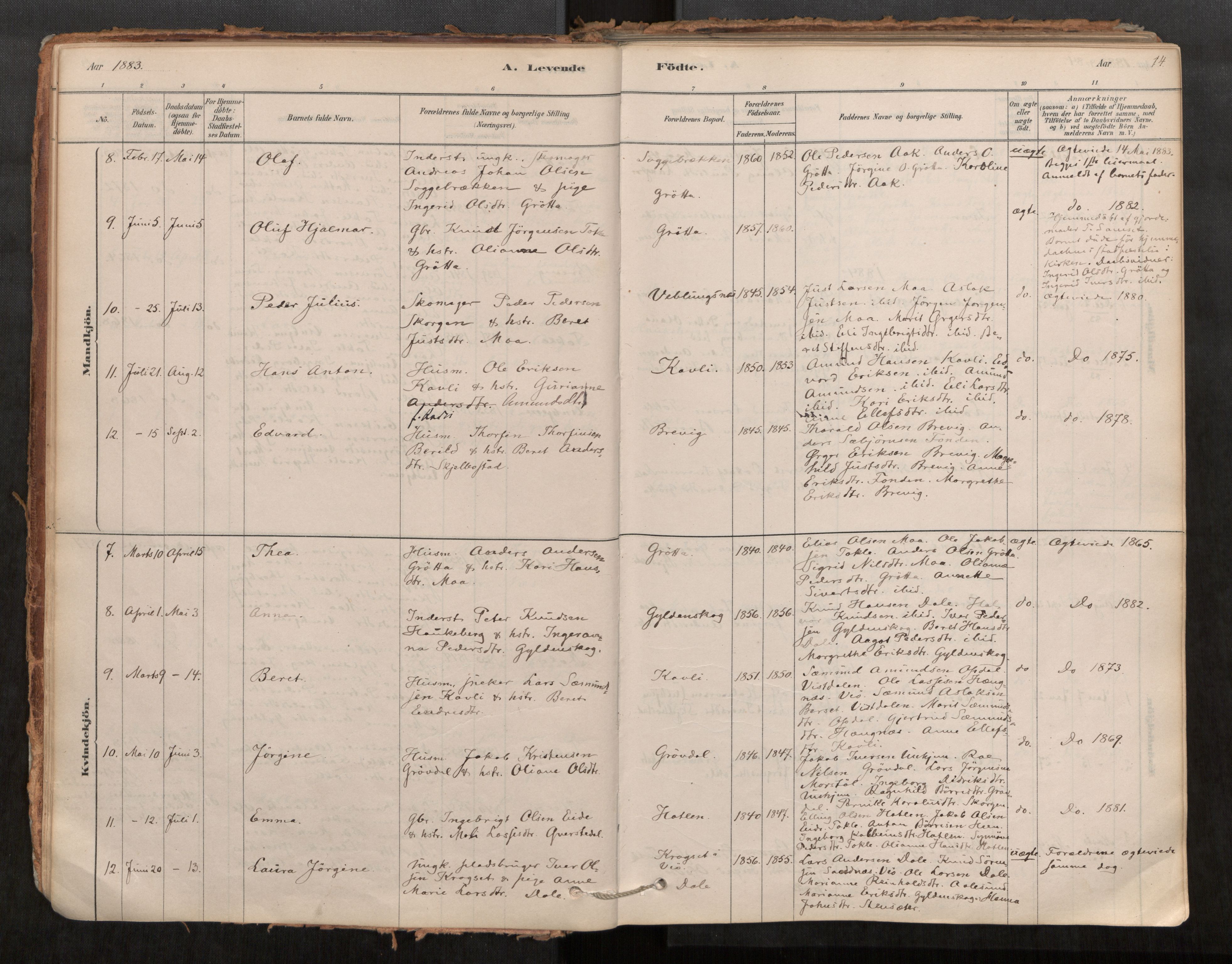 Ministerialprotokoller, klokkerbøker og fødselsregistre - Møre og Romsdal, AV/SAT-A-1454/545/L0594: Parish register (official) no. 545A03, 1878-1920, p. 14