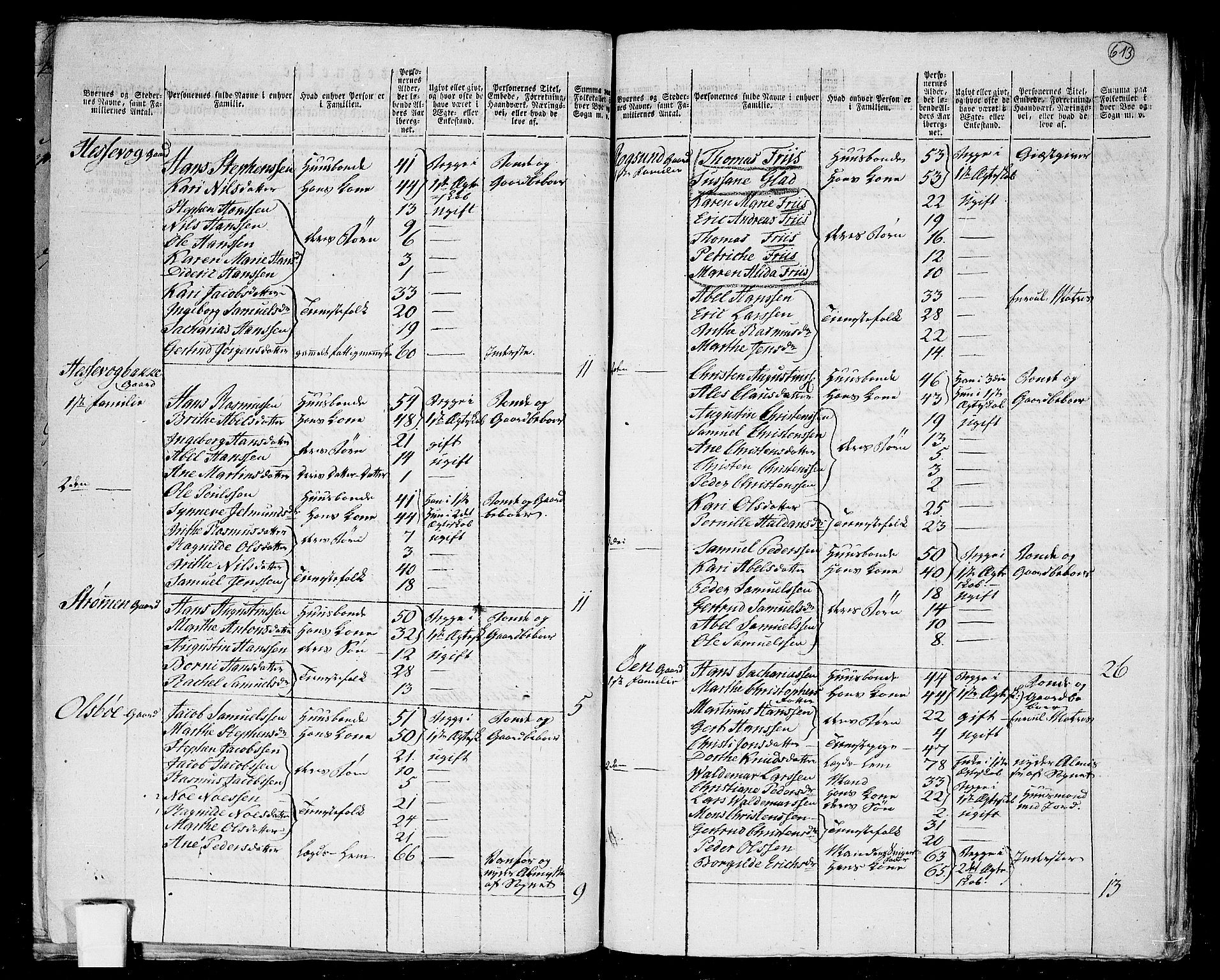 RA, 1801 census for 1442P Davik, 1801, p. 612b-613a