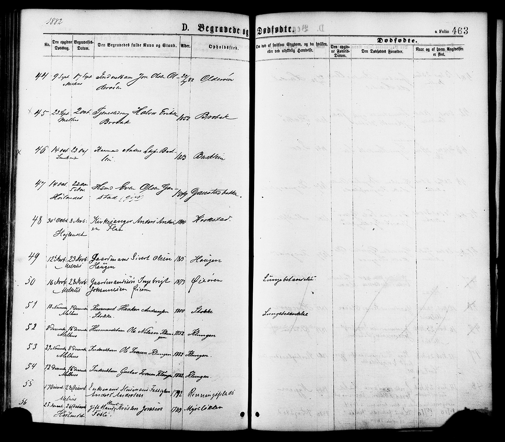 Ministerialprotokoller, klokkerbøker og fødselsregistre - Sør-Trøndelag, AV/SAT-A-1456/691/L1079: Parish register (official) no. 691A11, 1873-1886, p. 463