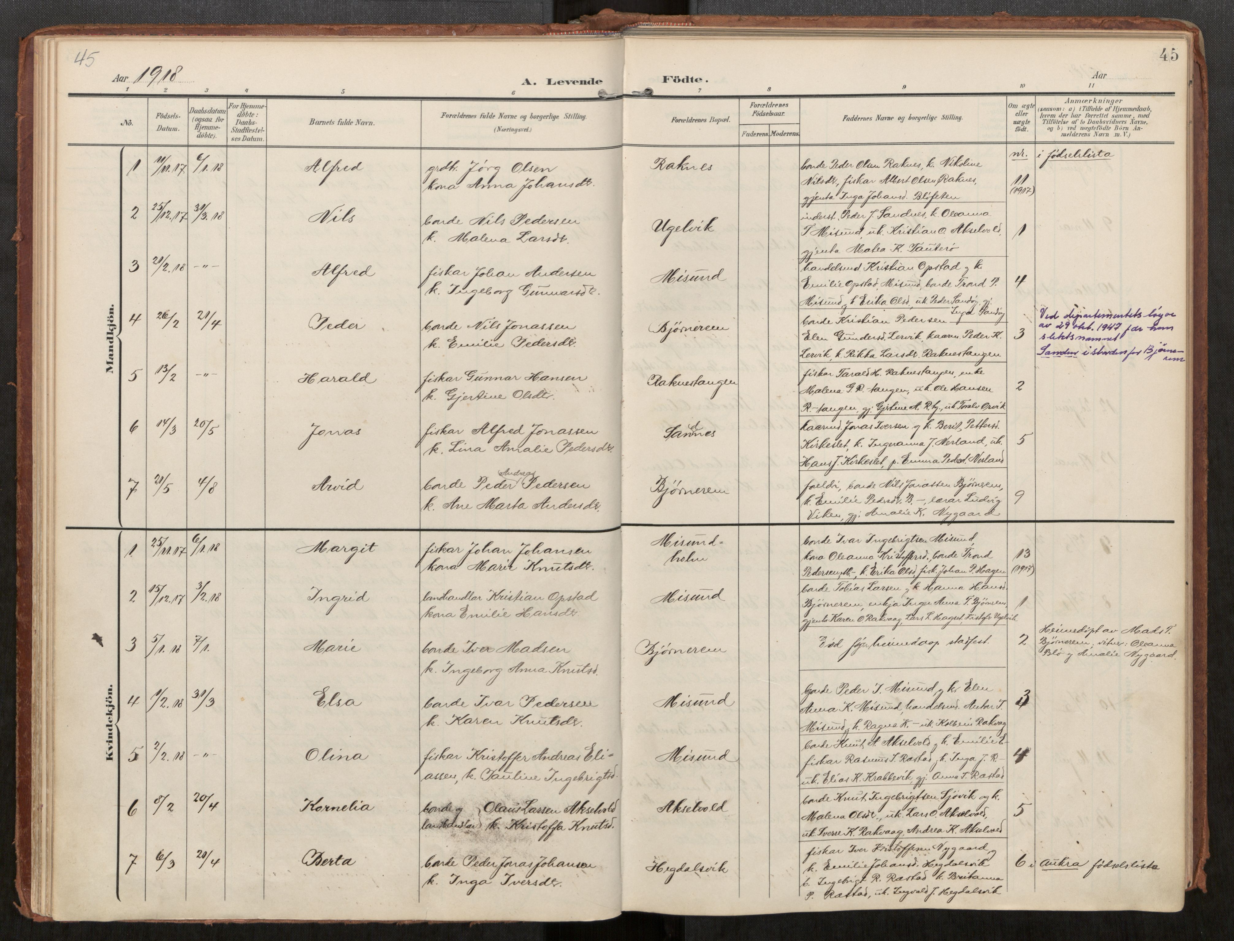 Ministerialprotokoller, klokkerbøker og fødselsregistre - Møre og Romsdal, AV/SAT-A-1454/563/L0740: Parish register (official) no. 563A02, 1903-1923, p. 45