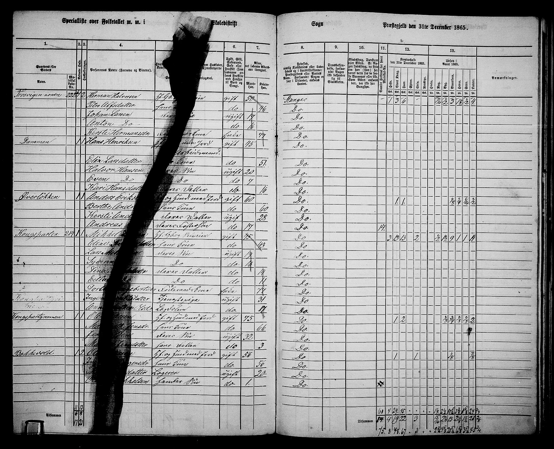 RA, 1865 census for Stange, 1865, p. 237