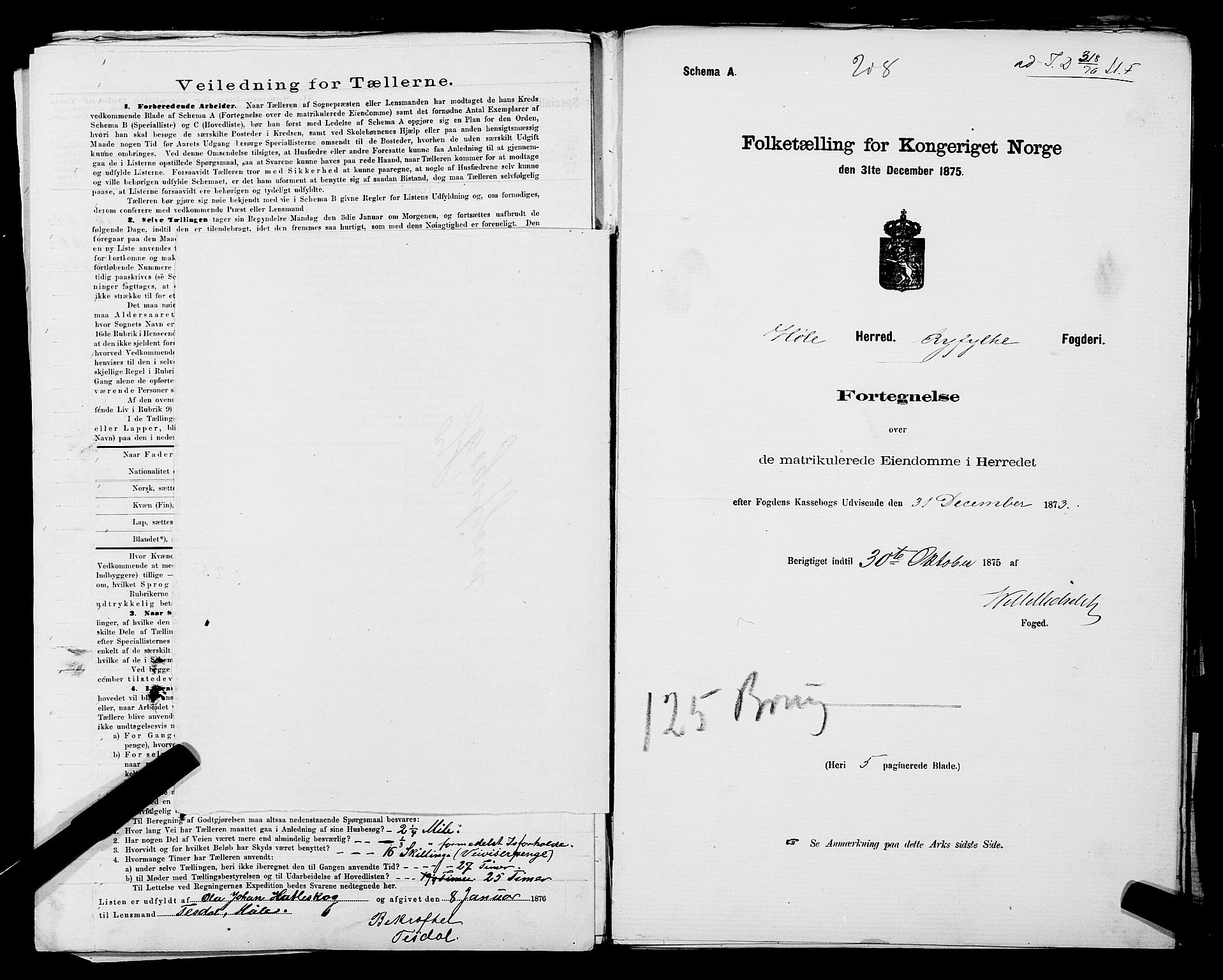 SAST, 1875 census for 1128P Høgsfjord, 1875, p. 56