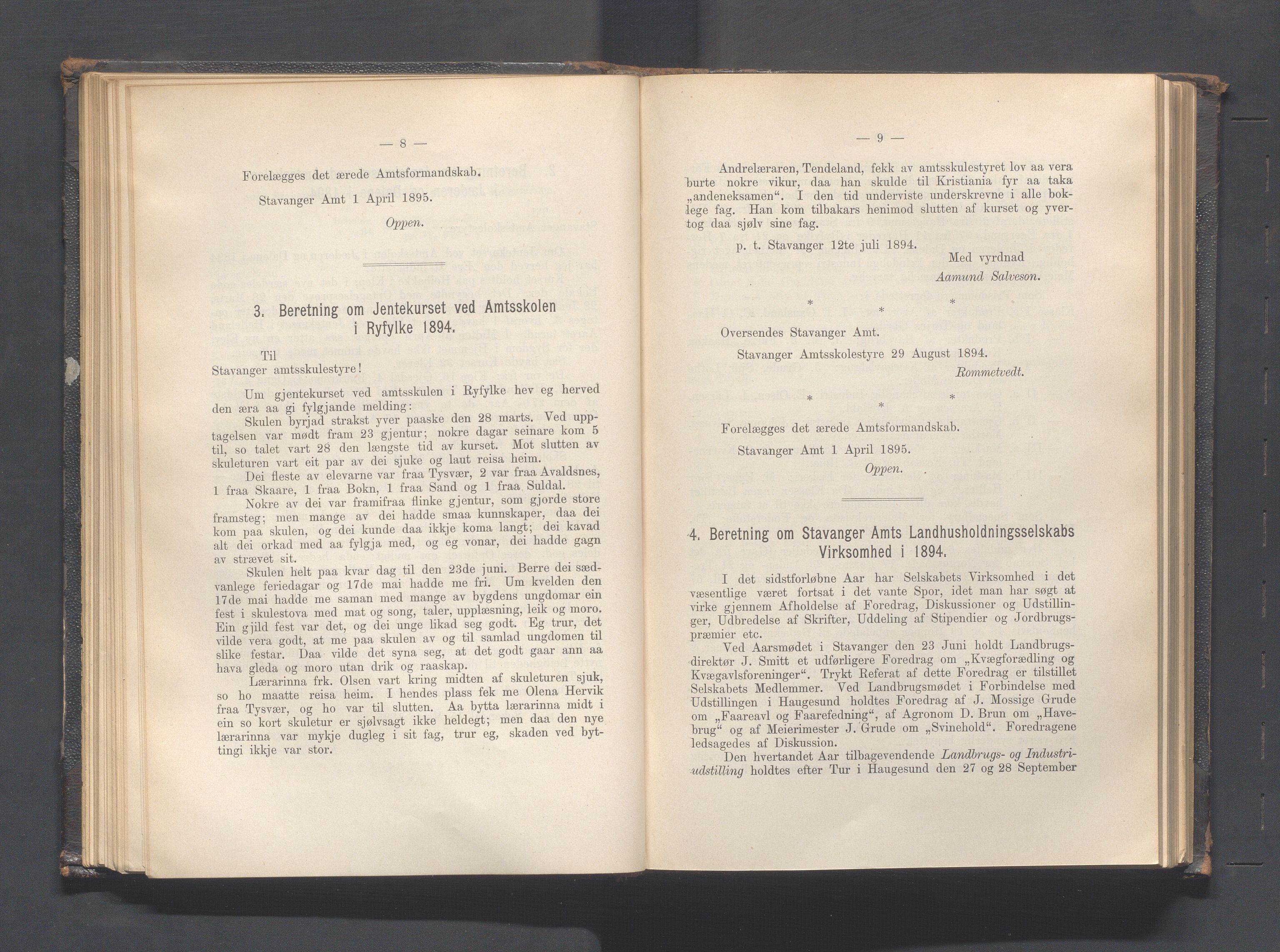 Rogaland fylkeskommune - Fylkesrådmannen , IKAR/A-900/A, 1895, p. 78