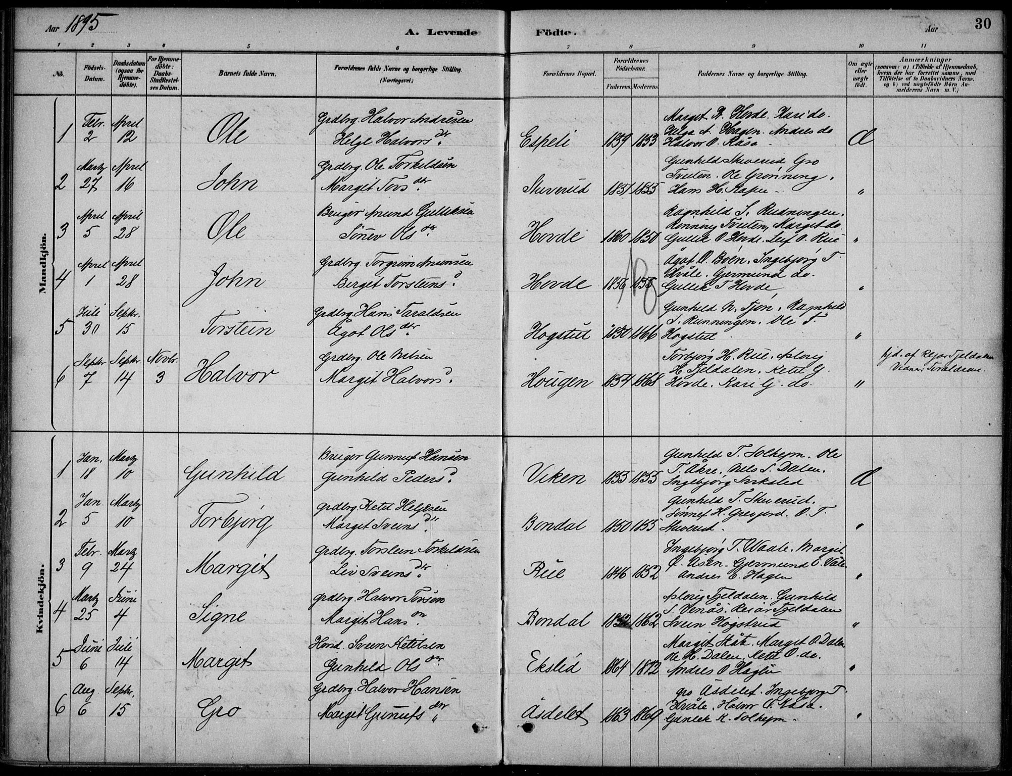 Hjartdal kirkebøker, SAKO/A-270/F/Fc/L0002: Parish register (official) no. III 2, 1880-1936, p. 30