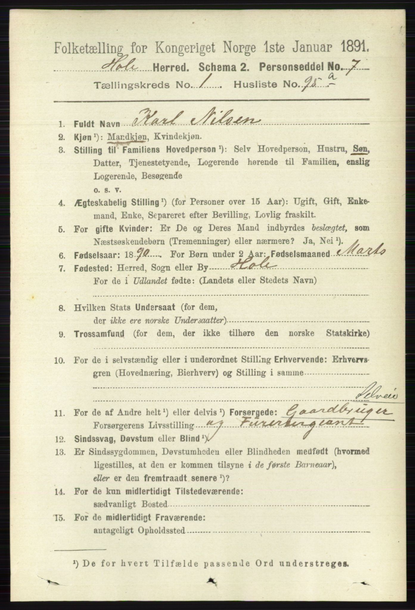 RA, 1891 census for 0612 Hole, 1891, p. 648