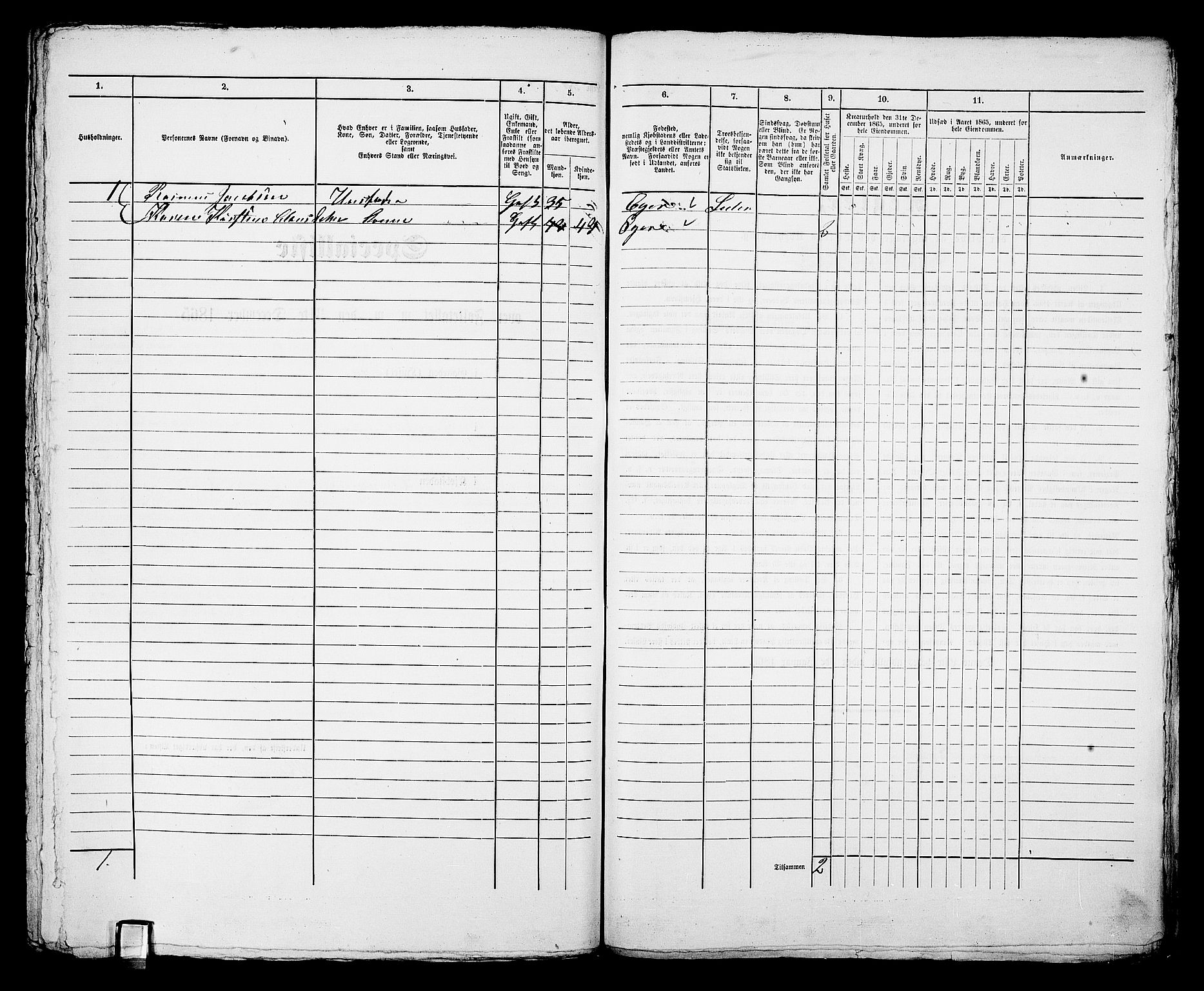 RA, 1865 census for Bragernes in Drammen, 1865, p. 1202