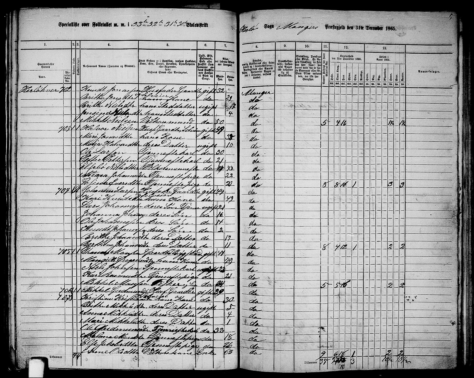 RA, 1865 census for Manger, 1865, p. 207