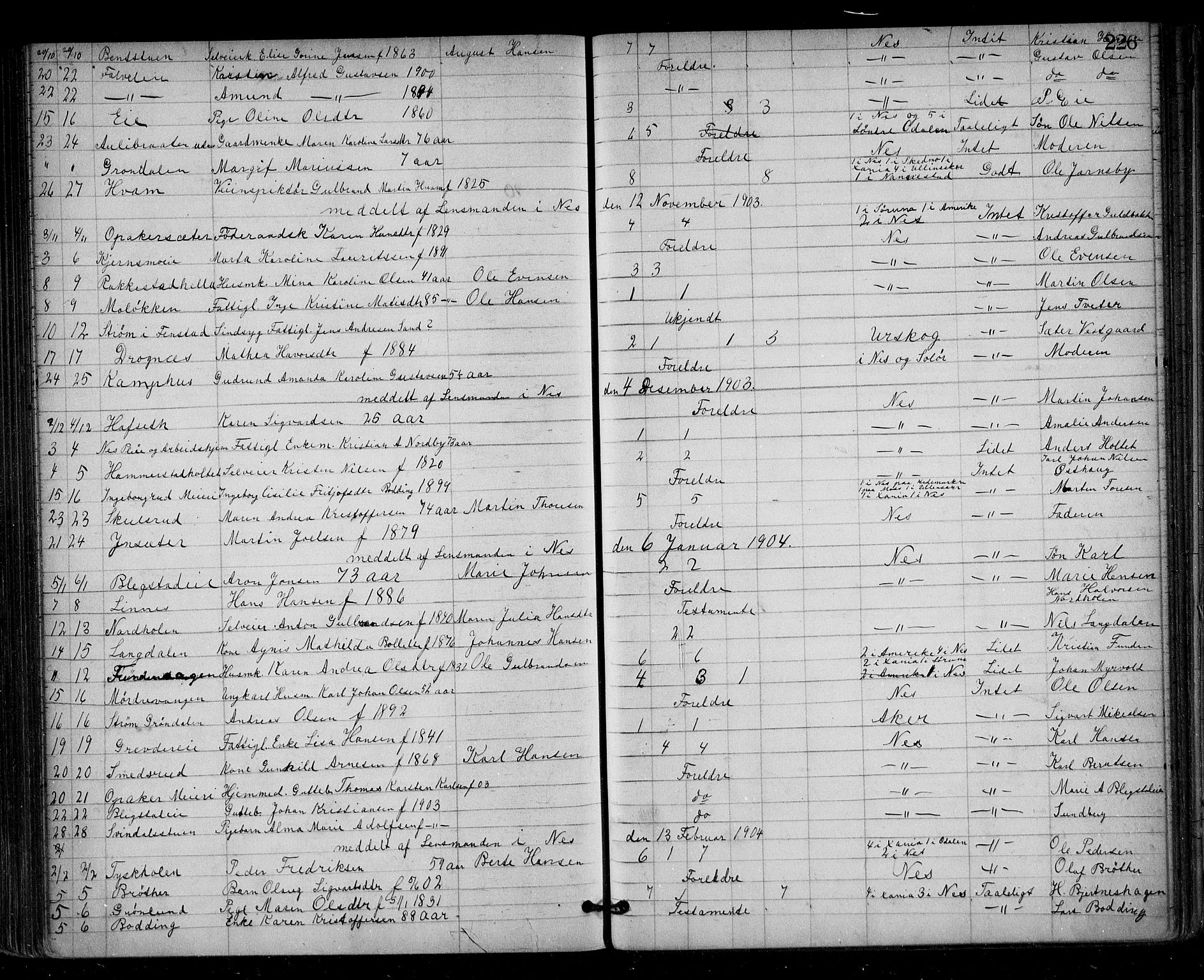 Nes tingrett, AV/SAO-A-10548/H/Ha/Haa/L0001: Dødsfallsprotokoll, 1876-1905, p. 226