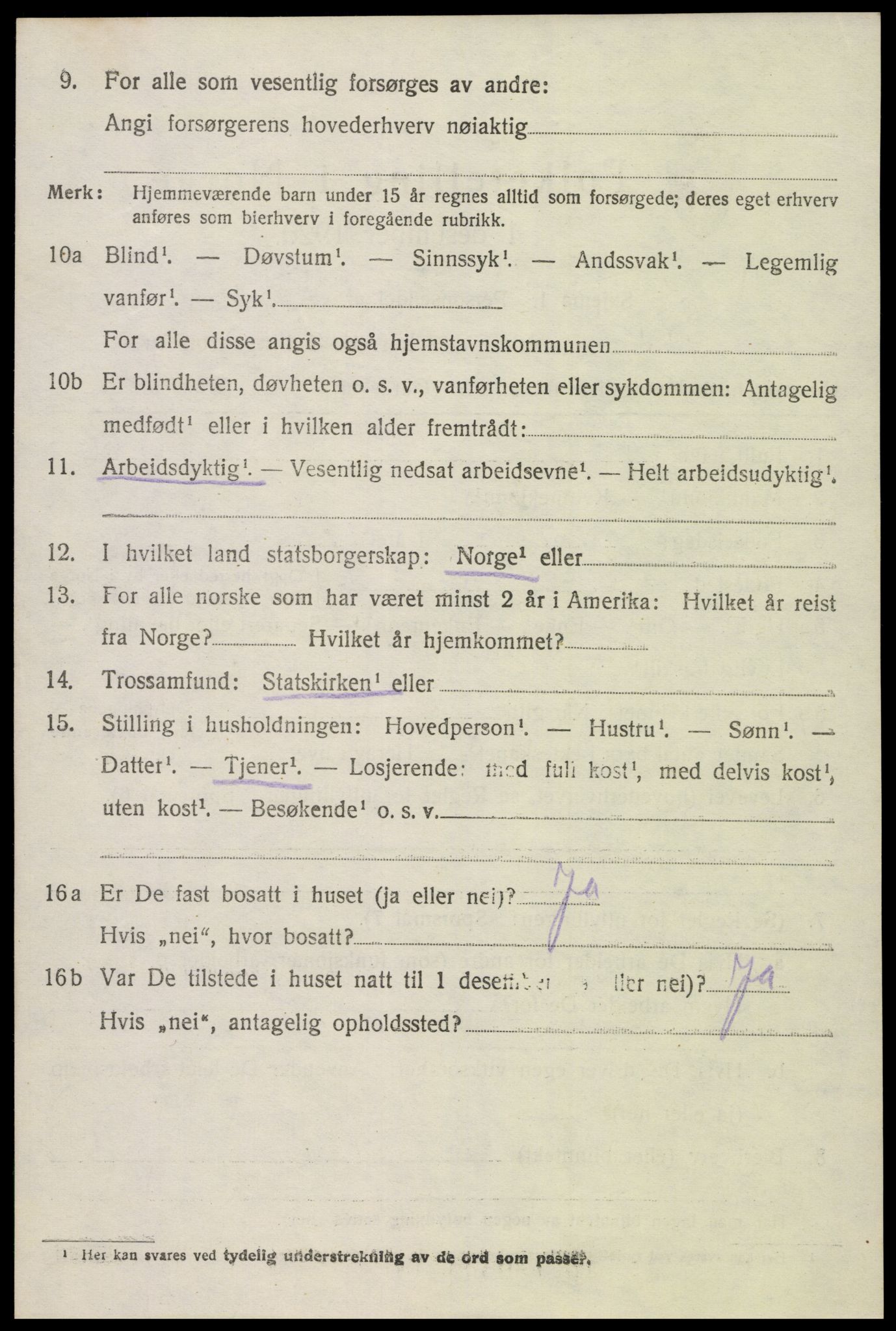 SAK, 1920 census for Hornnes, 1920, p. 1136