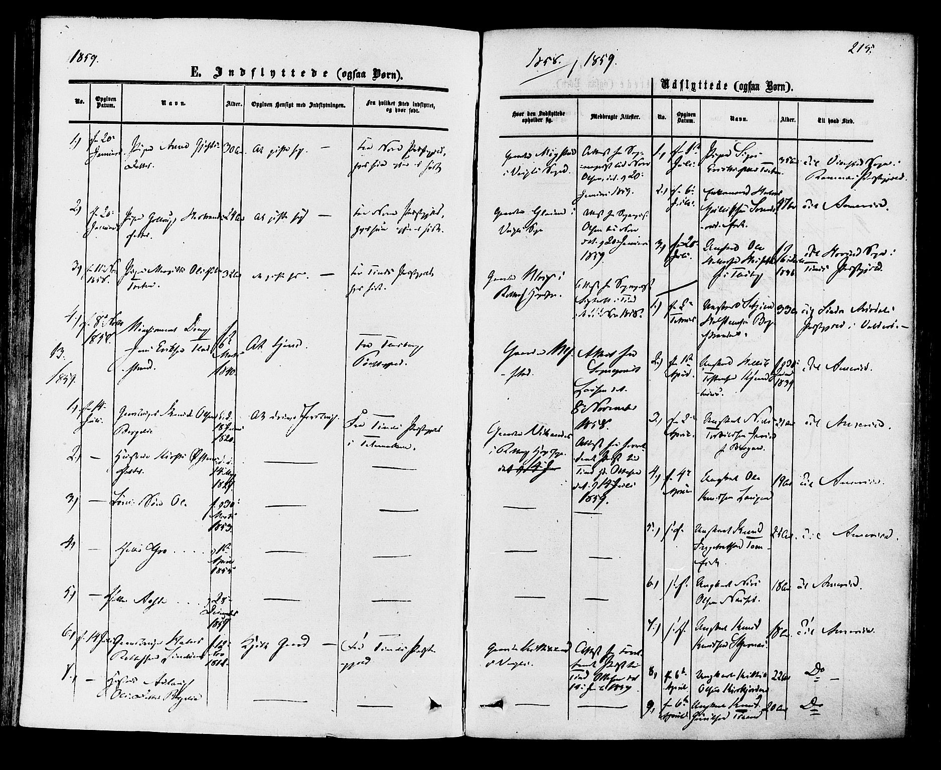 Rollag kirkebøker, SAKO/A-240/F/Fa/L0009: Parish register (official) no. I 9, 1860-1874, p. 215
