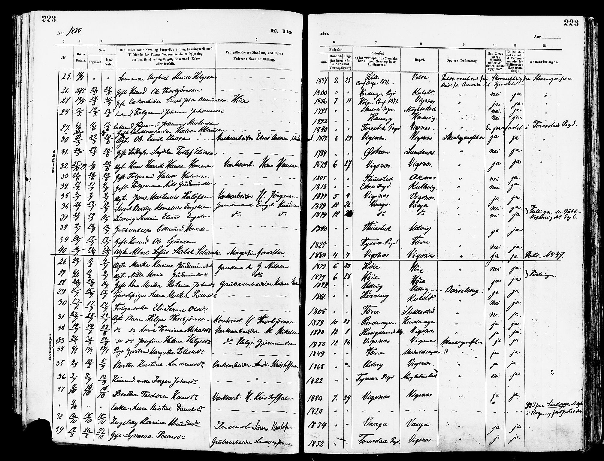 Avaldsnes sokneprestkontor, AV/SAST-A -101851/H/Ha/Haa/L0015: Parish register (official) no. A 15, 1880-1906, p. 223
