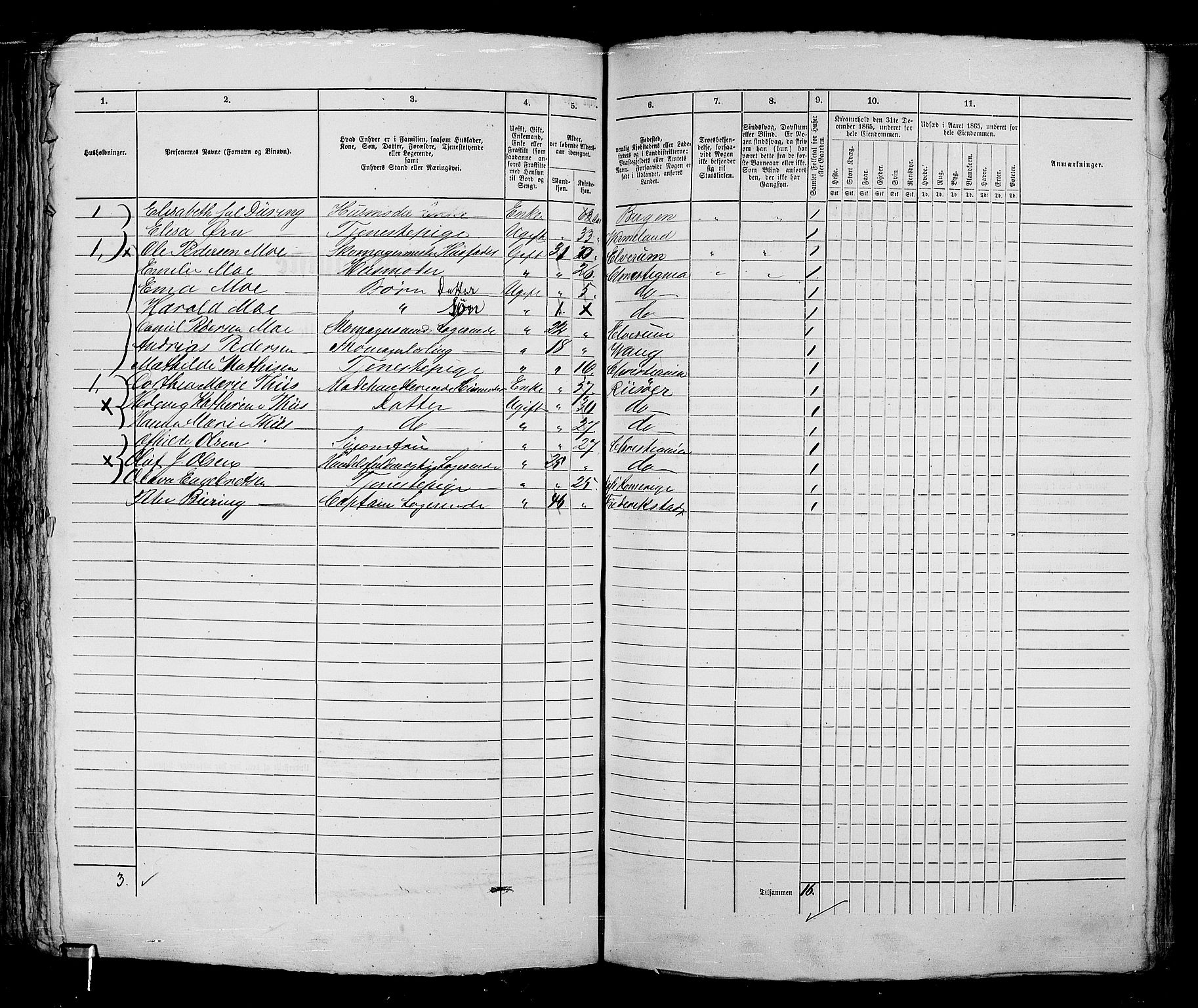 RA, 1865 census for Kristiania, 1865, p. 1950