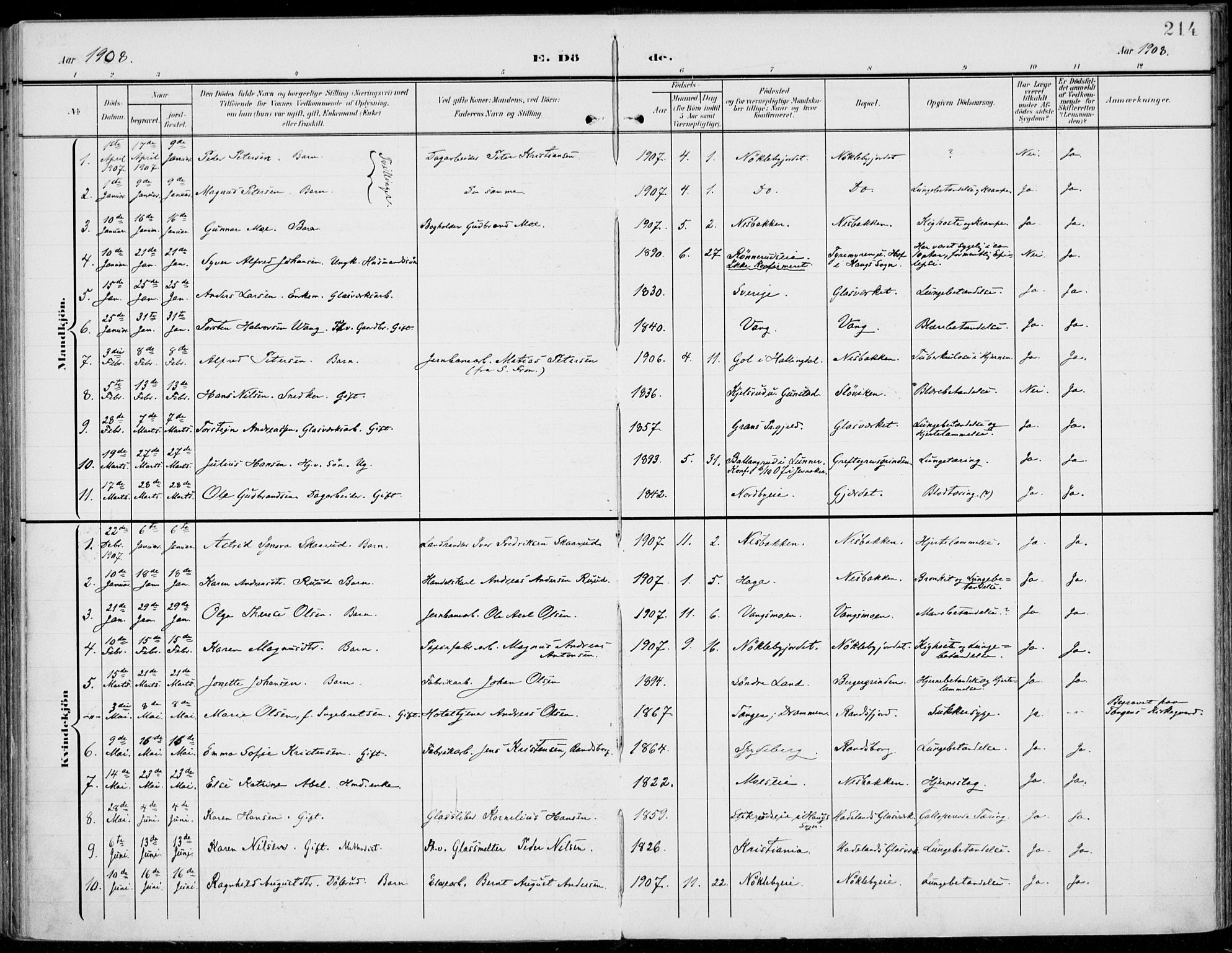 Jevnaker prestekontor, SAH/PREST-116/H/Ha/Haa/L0011: Parish register (official) no. 11, 1902-1913, p. 214