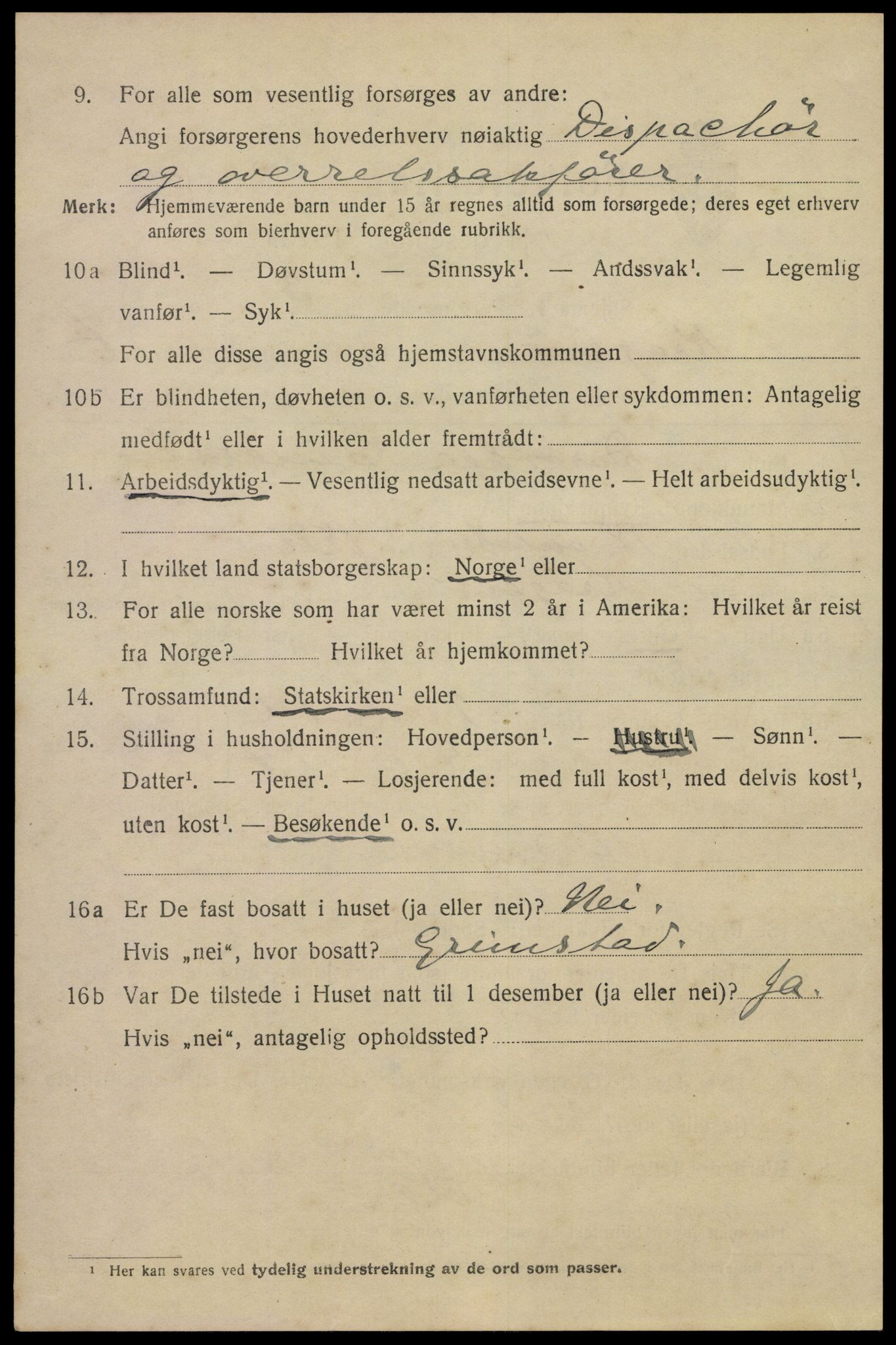 SAKO, 1920 census for Kragerø, 1920, p. 11098