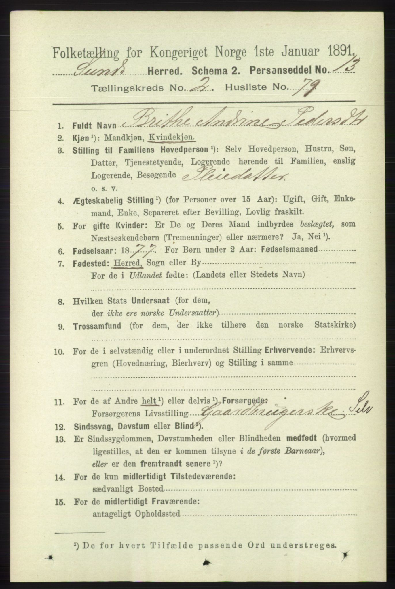 RA, 1891 census for 1245 Sund, 1891, p. 1100