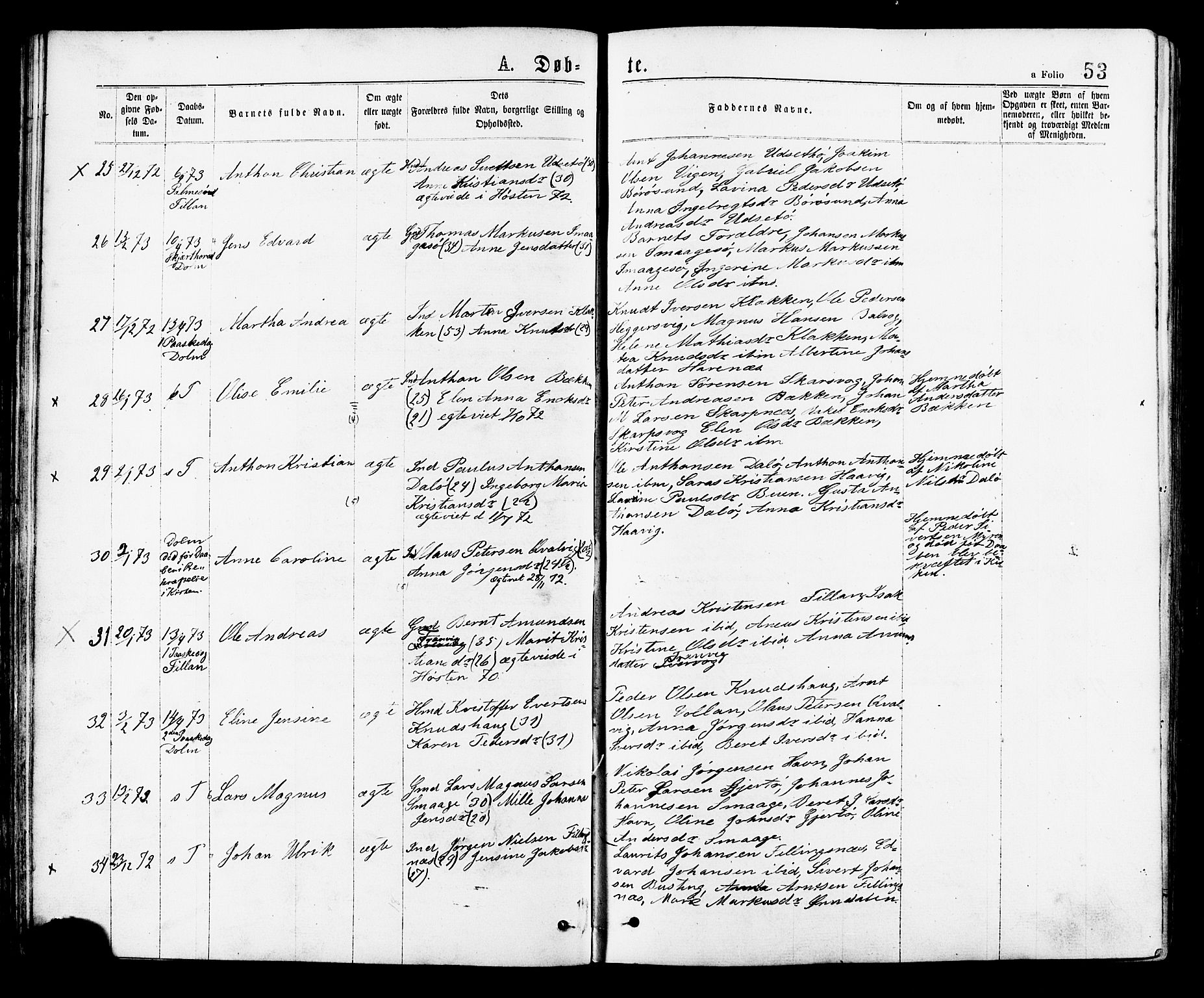 Ministerialprotokoller, klokkerbøker og fødselsregistre - Sør-Trøndelag, AV/SAT-A-1456/634/L0532: Parish register (official) no. 634A08, 1871-1881, p. 53