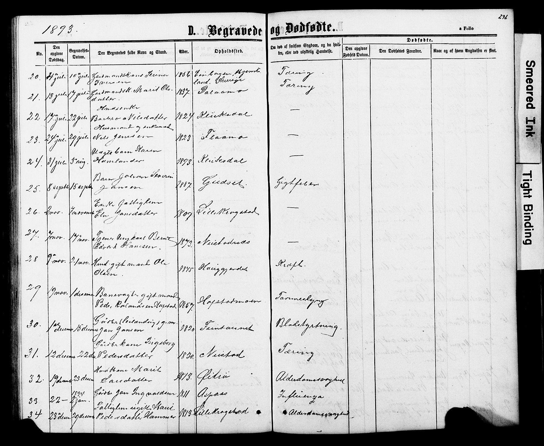 Ministerialprotokoller, klokkerbøker og fødselsregistre - Nord-Trøndelag, SAT/A-1458/706/L0049: Parish register (copy) no. 706C01, 1864-1895, p. 236