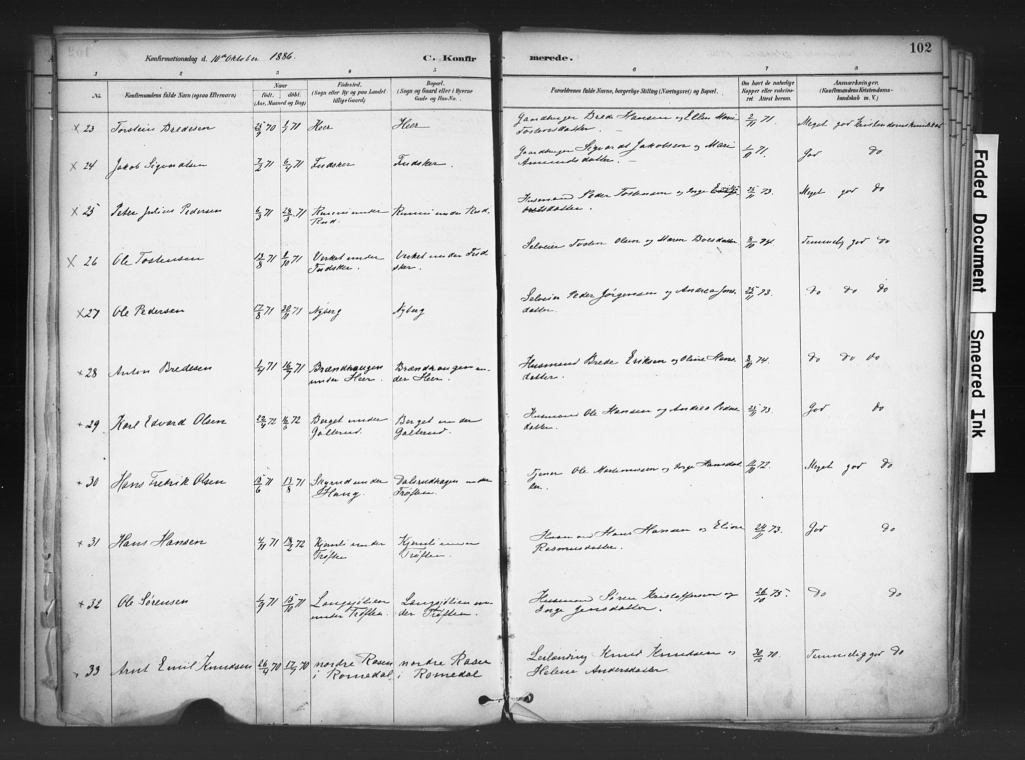 Nord-Odal prestekontor, AV/SAH-PREST-032/H/Ha/Haa/L0006: Parish register (official) no. 6, 1886-1901, p. 102