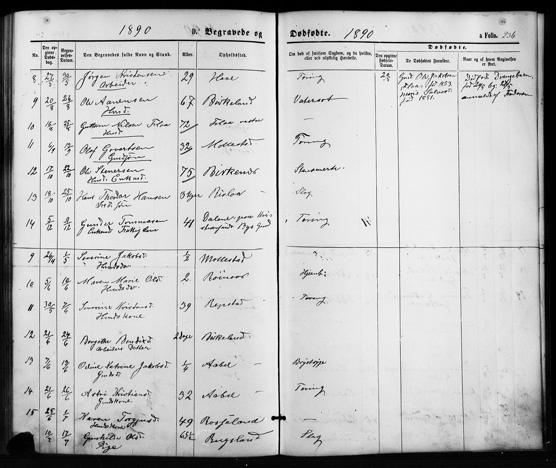 Birkenes sokneprestkontor, SAK/1111-0004/F/Fb/L0003: Parish register (copy) no. B 3, 1876-1892, p. 236