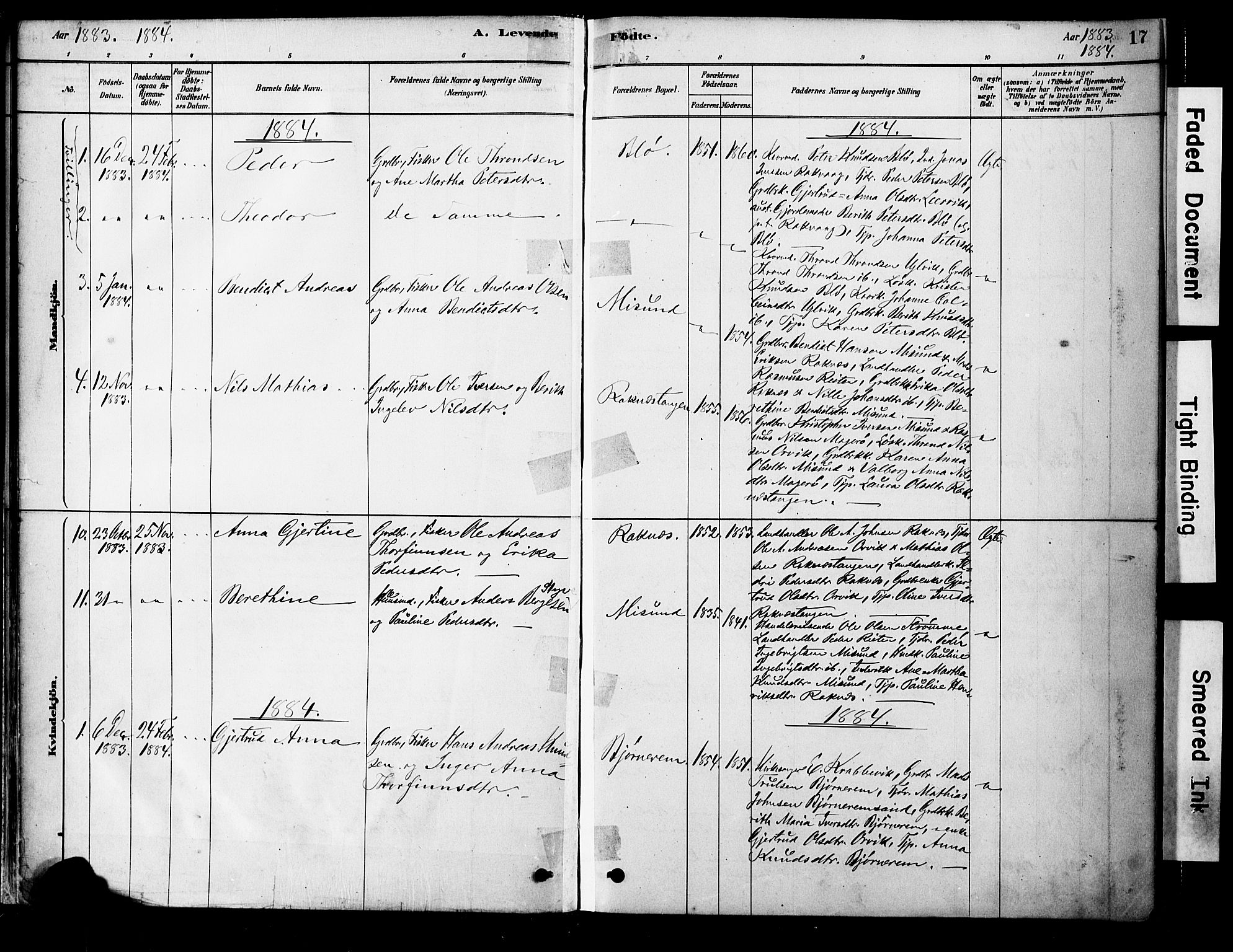 Ministerialprotokoller, klokkerbøker og fødselsregistre - Møre og Romsdal, SAT/A-1454/563/L0736: Parish register (official) no. 563A01, 1878-1903, p. 17