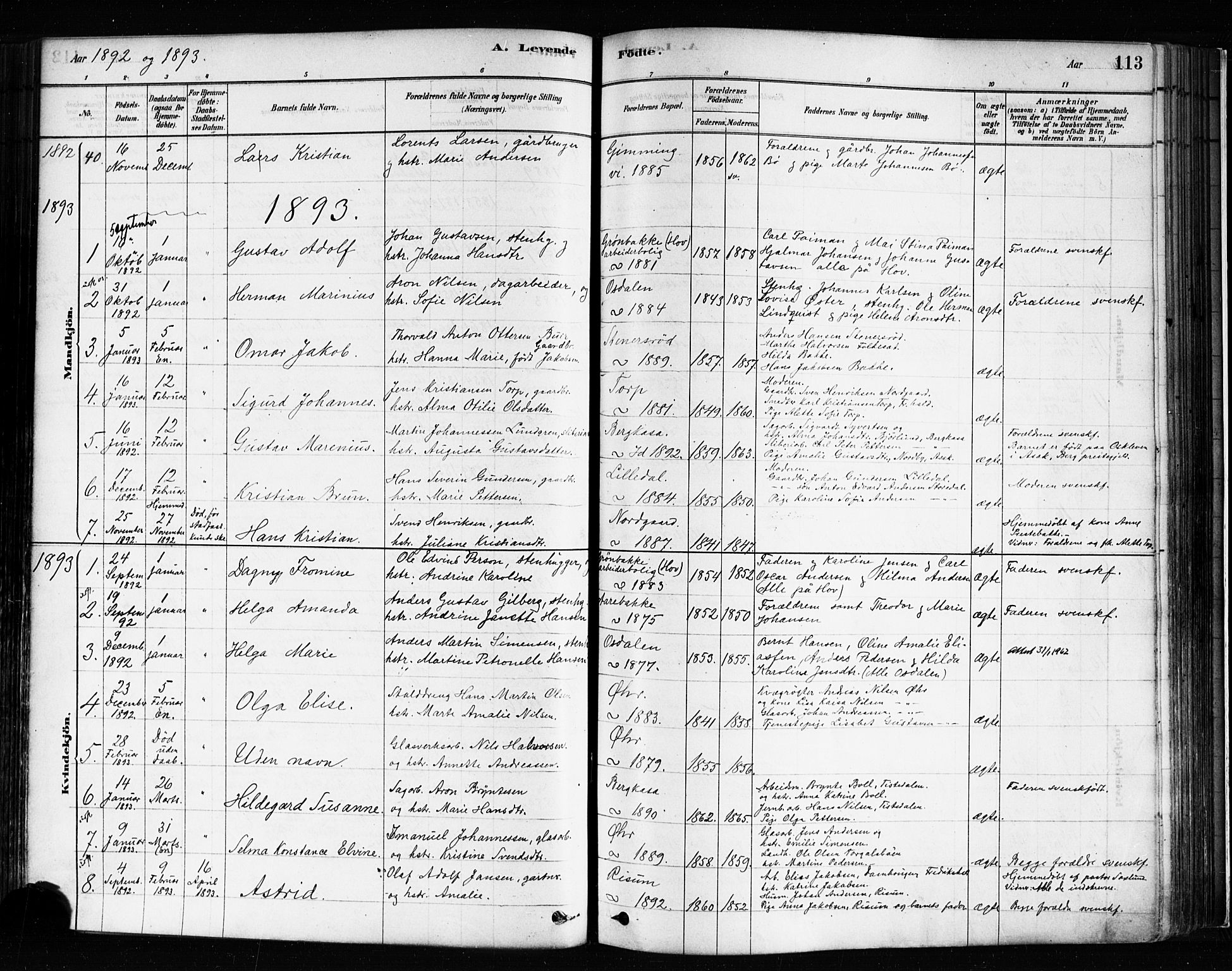 Idd prestekontor Kirkebøker, SAO/A-10911/F/Fc/L0006a: Parish register (official) no. III 6A, 1878-1903, p. 113