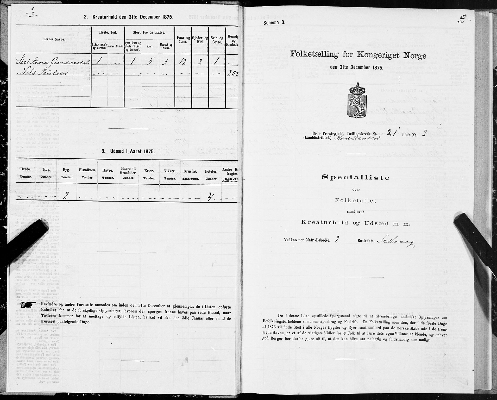 SAT, 1875 census for 1843L Bodø/Bodø, 1875, p. 1003