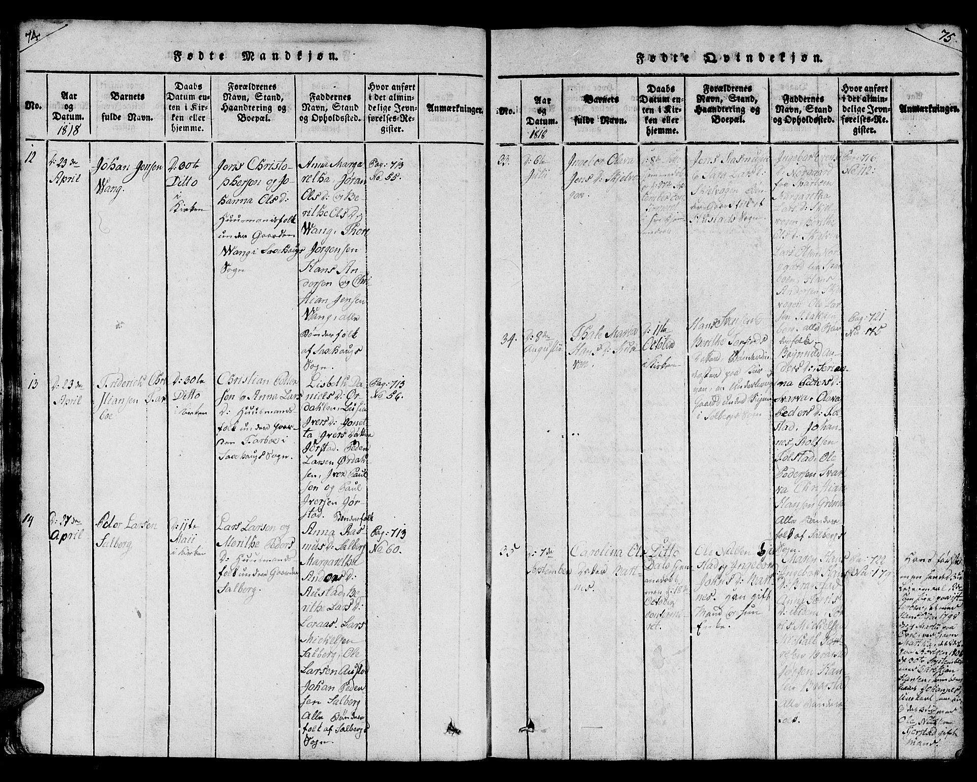 Ministerialprotokoller, klokkerbøker og fødselsregistre - Nord-Trøndelag, AV/SAT-A-1458/730/L0275: Parish register (official) no. 730A04, 1816-1822, p. 74-75