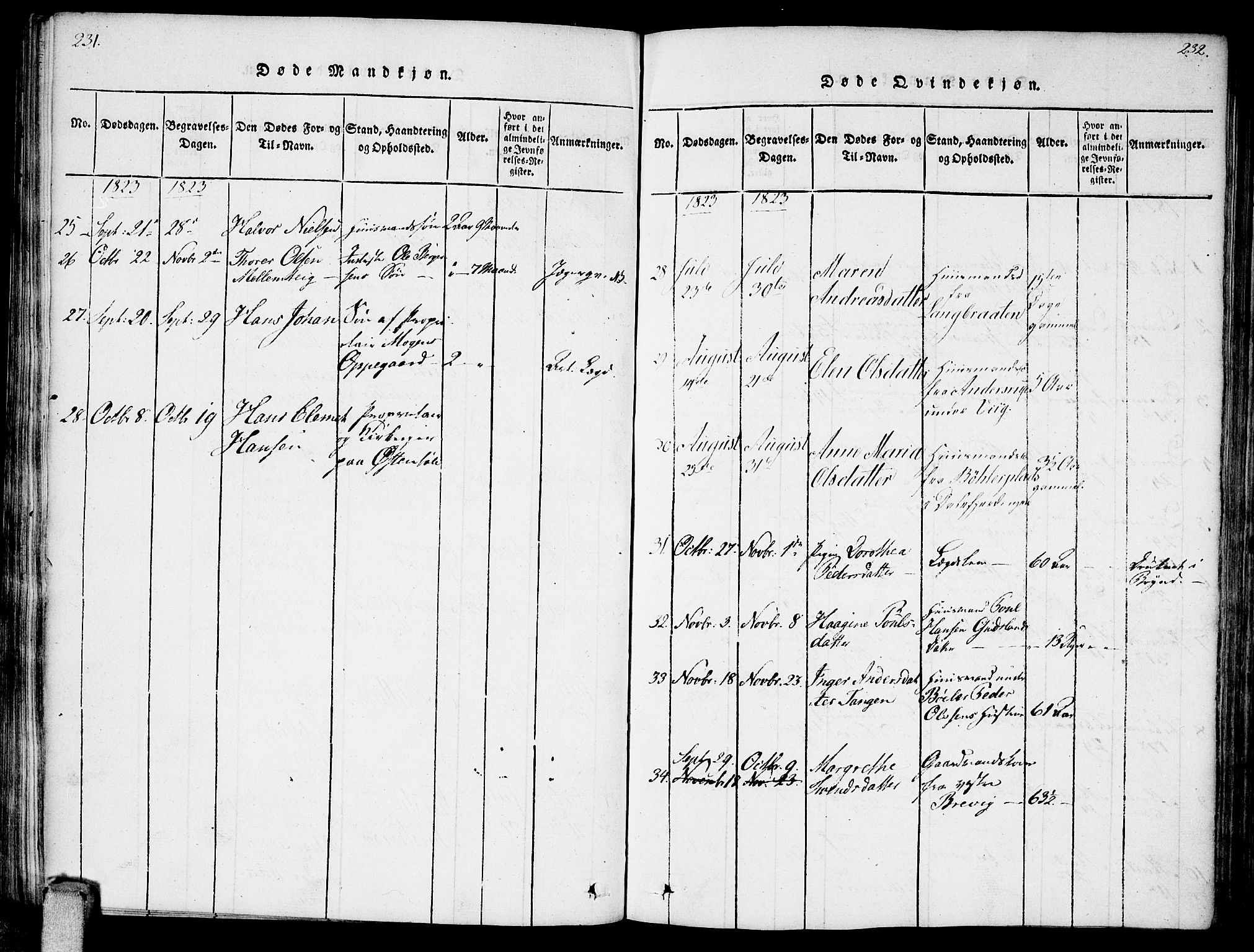 Enebakk prestekontor Kirkebøker, AV/SAO-A-10171c/F/Fa/L0006: Parish register (official) no. I 6, 1815-1832, p. 231-232