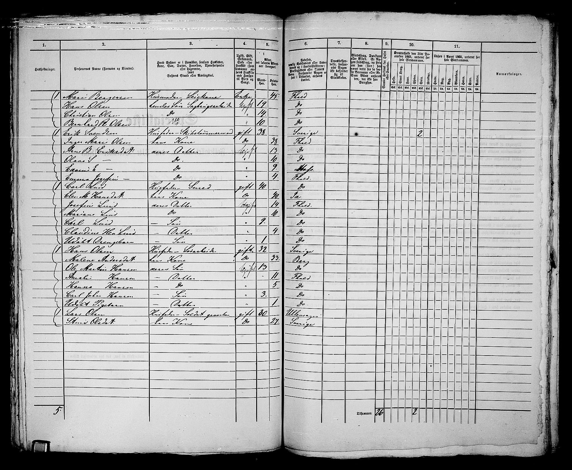 RA, 1865 census for Fredrikshald, 1865, p. 222