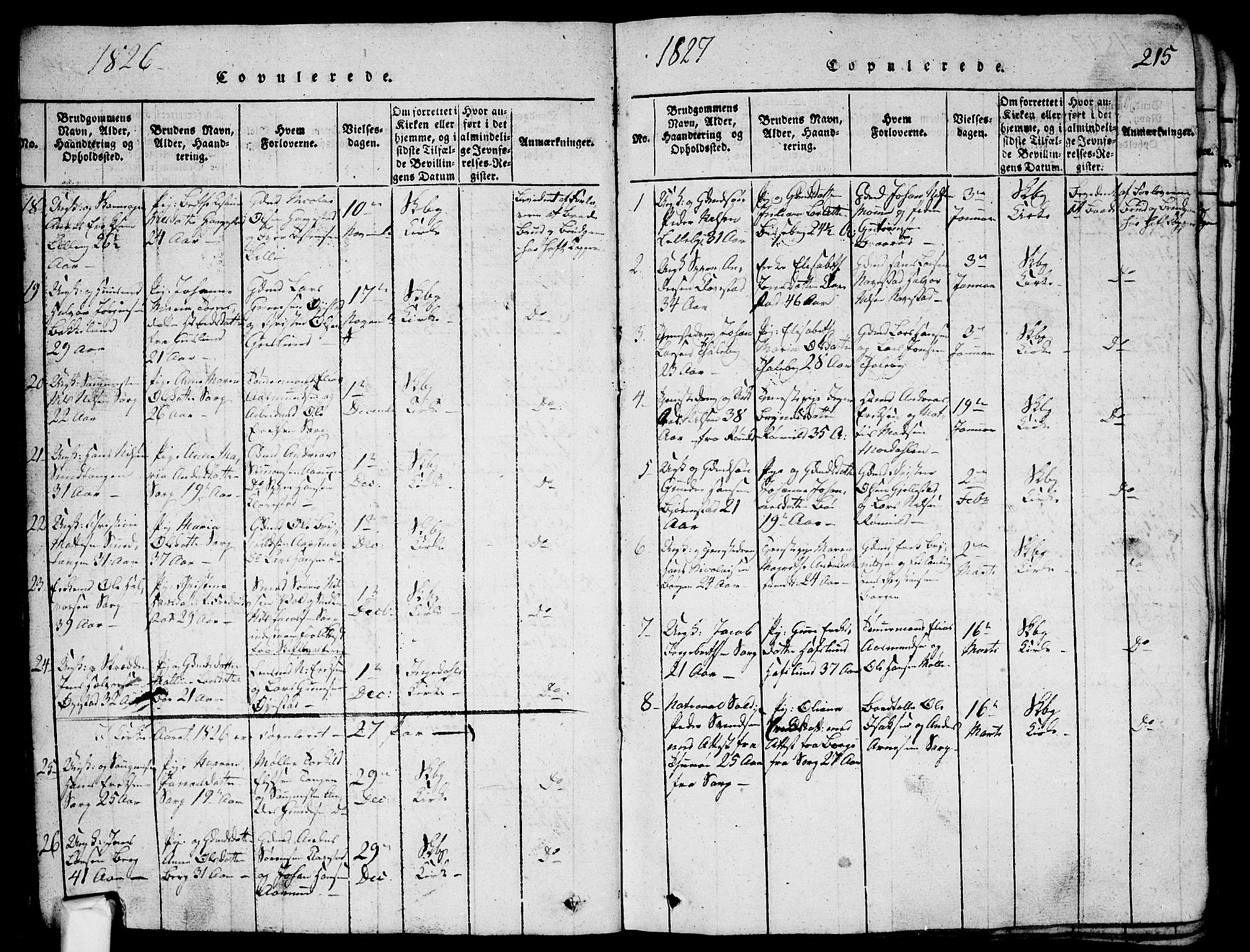 Skjeberg prestekontor Kirkebøker, AV/SAO-A-10923/G/Ga/L0001: Parish register (copy) no. I 1, 1815-1830, p. 215