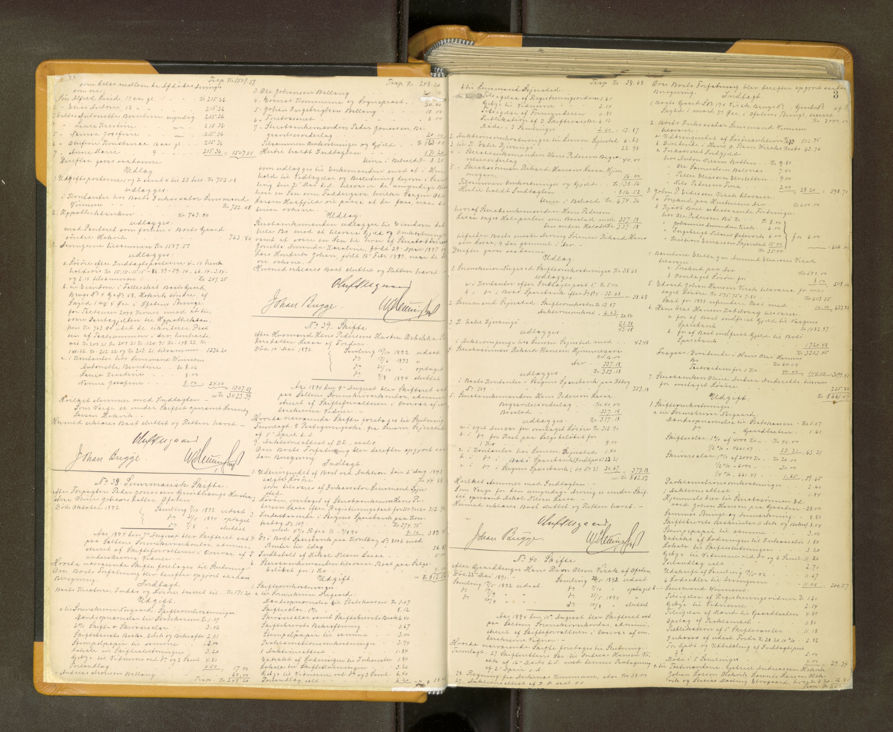 Salten sorenskriveri, AV/SAT-A-4578/1/3/3A/L0064: Skifteslutningsprotokoll, 1894-1912, p. 3