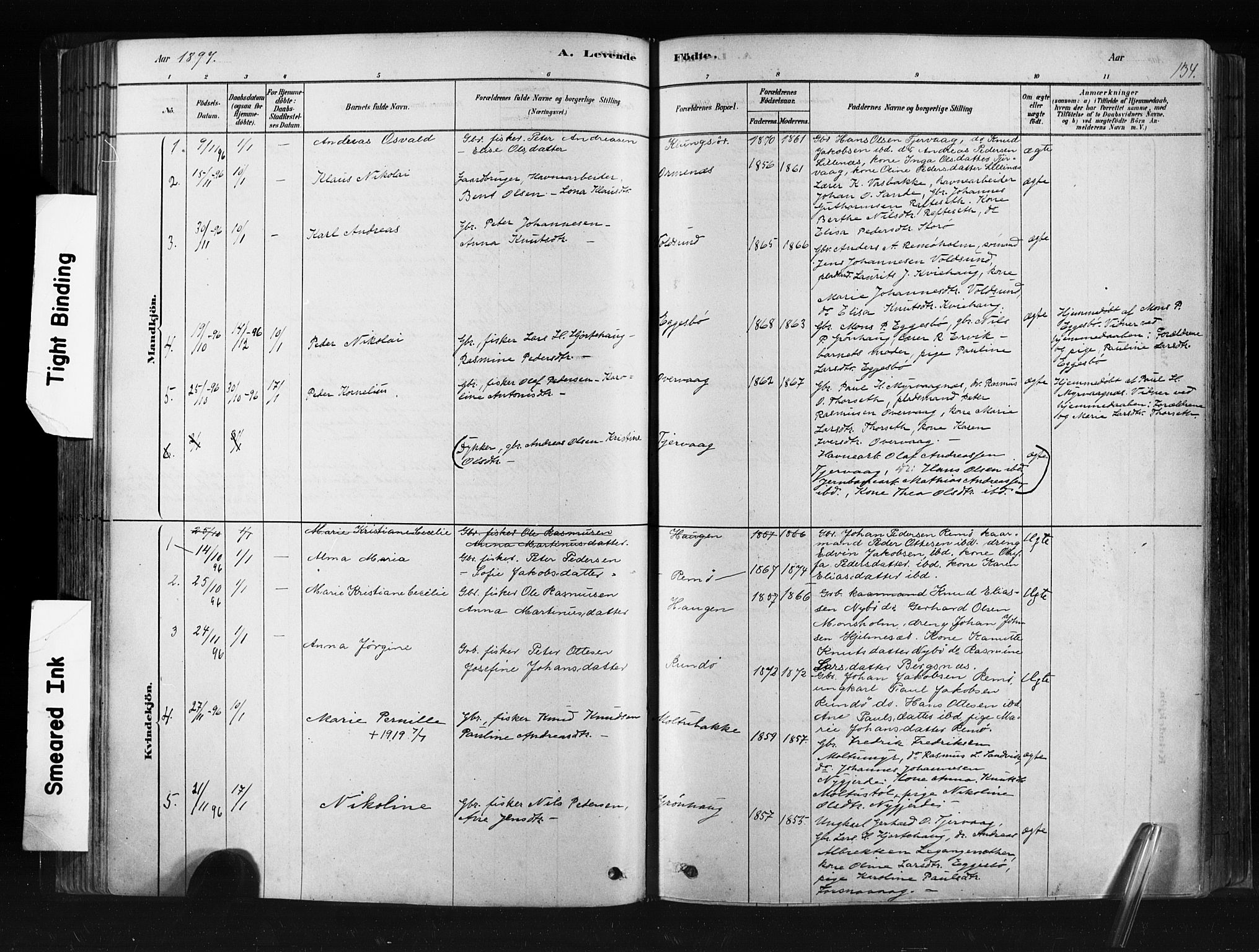 Ministerialprotokoller, klokkerbøker og fødselsregistre - Møre og Romsdal, SAT/A-1454/507/L0073: Parish register (official) no. 507A08, 1878-1904, p. 134
