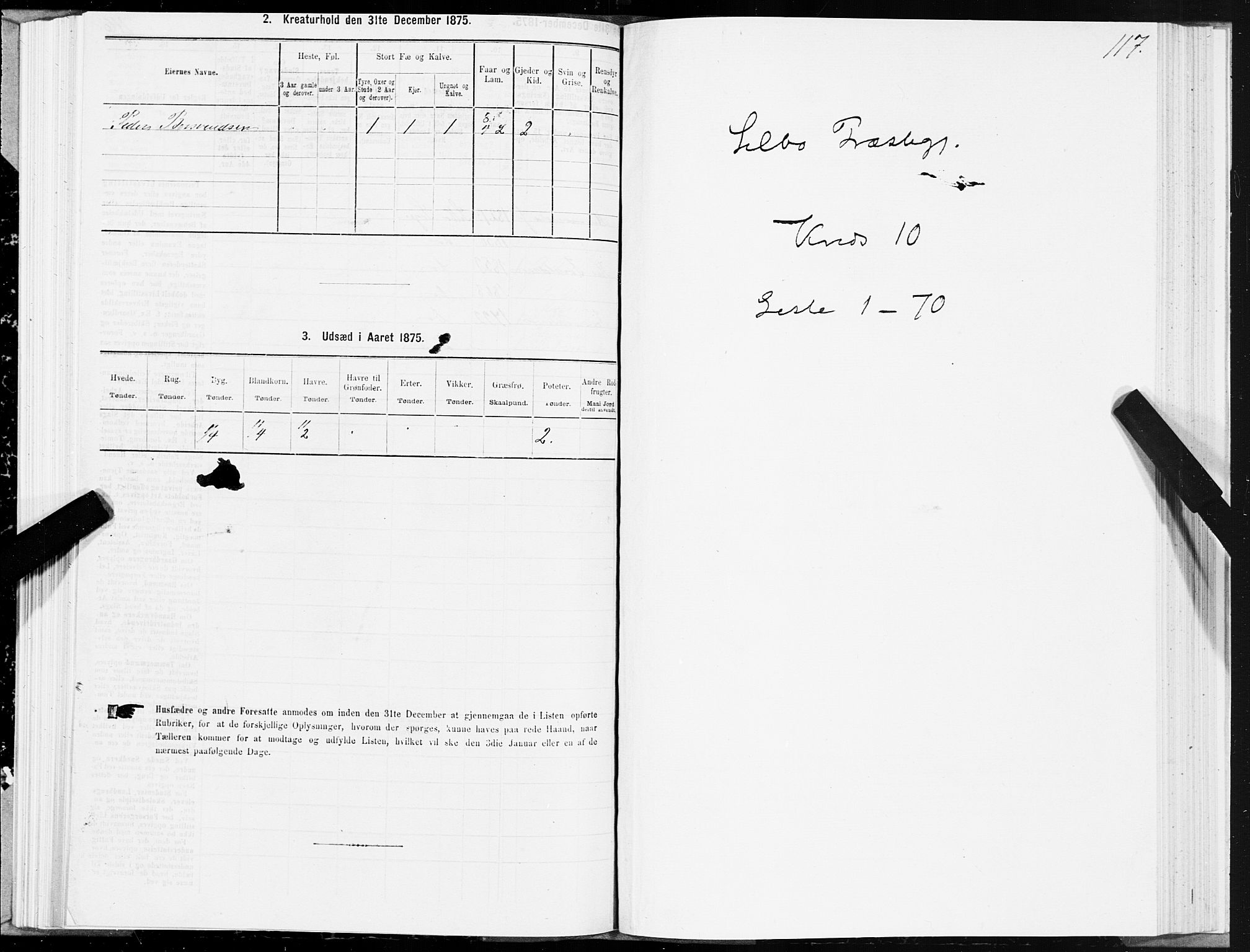 SAT, 1875 census for 1664P Selbu, 1875, p. 5117