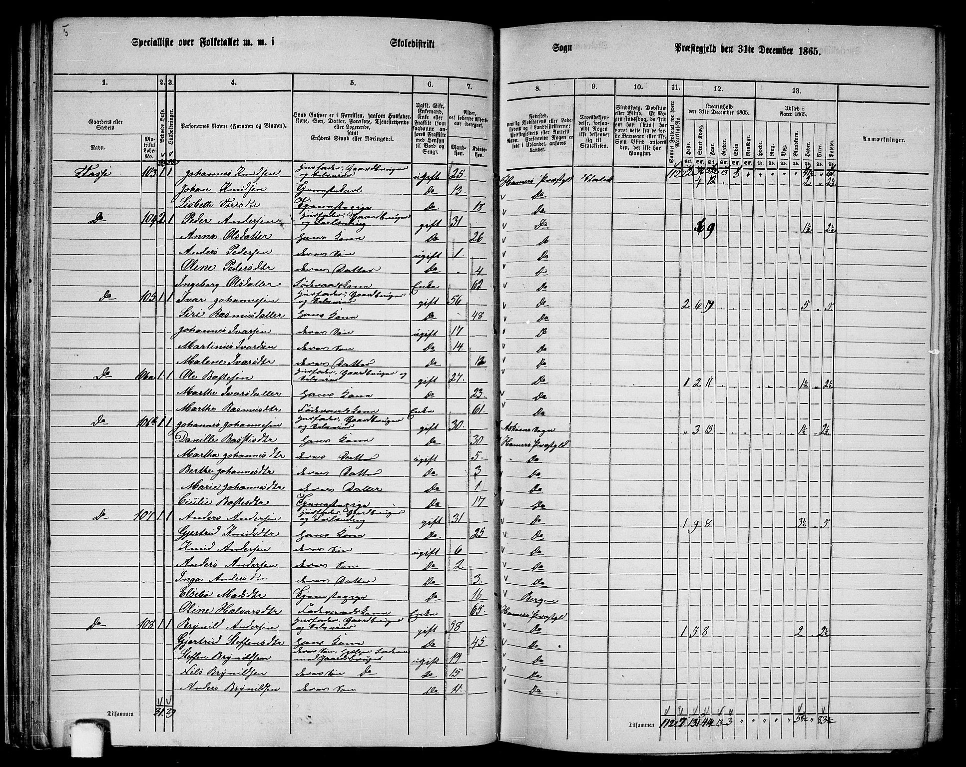 RA, 1865 census for Hamre, 1865, p. 54
