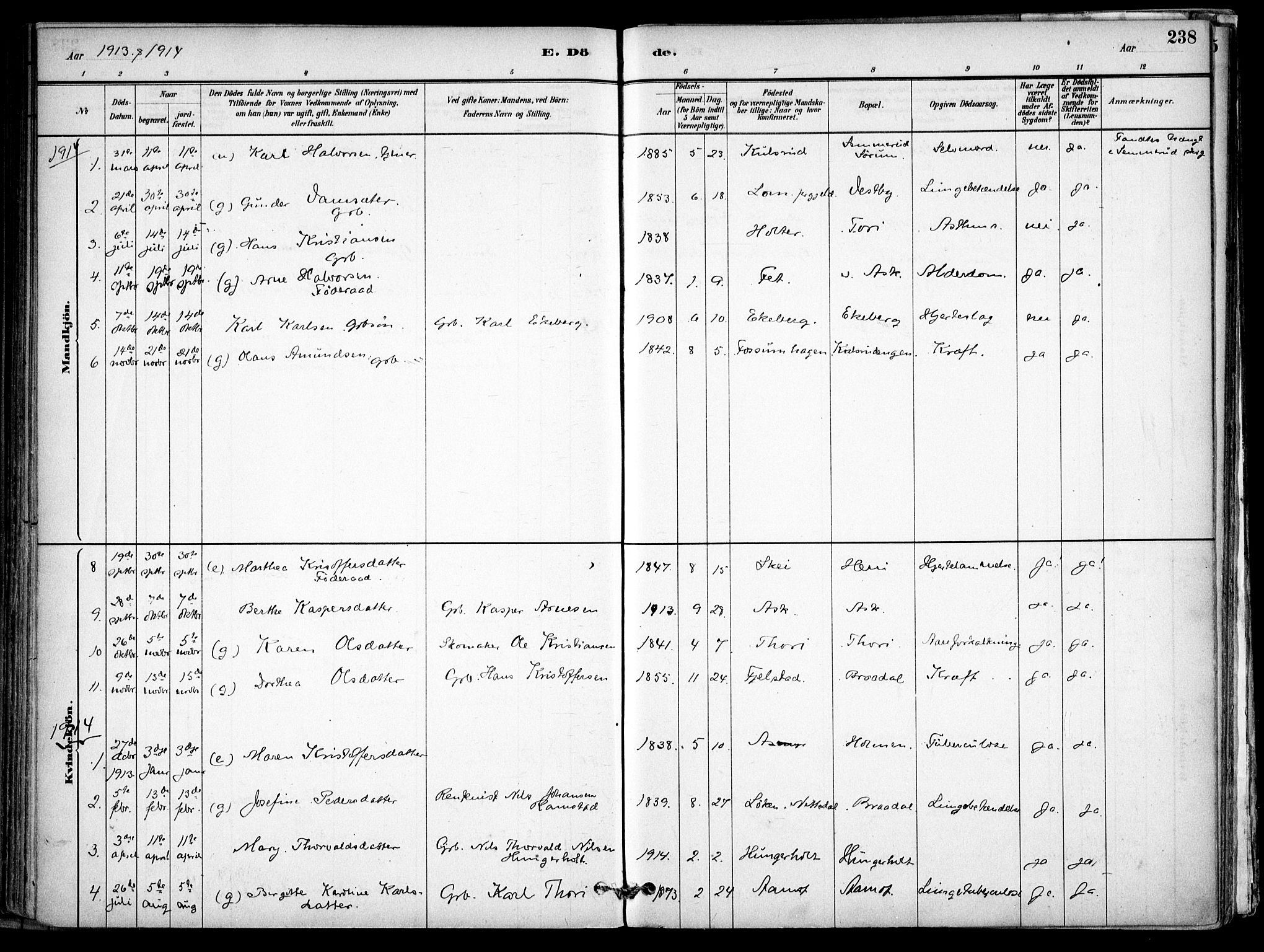Gjerdrum prestekontor Kirkebøker, SAO/A-10412b/F/Fb/L0001: Parish register (official) no. II 1, 1881-1921, p. 238