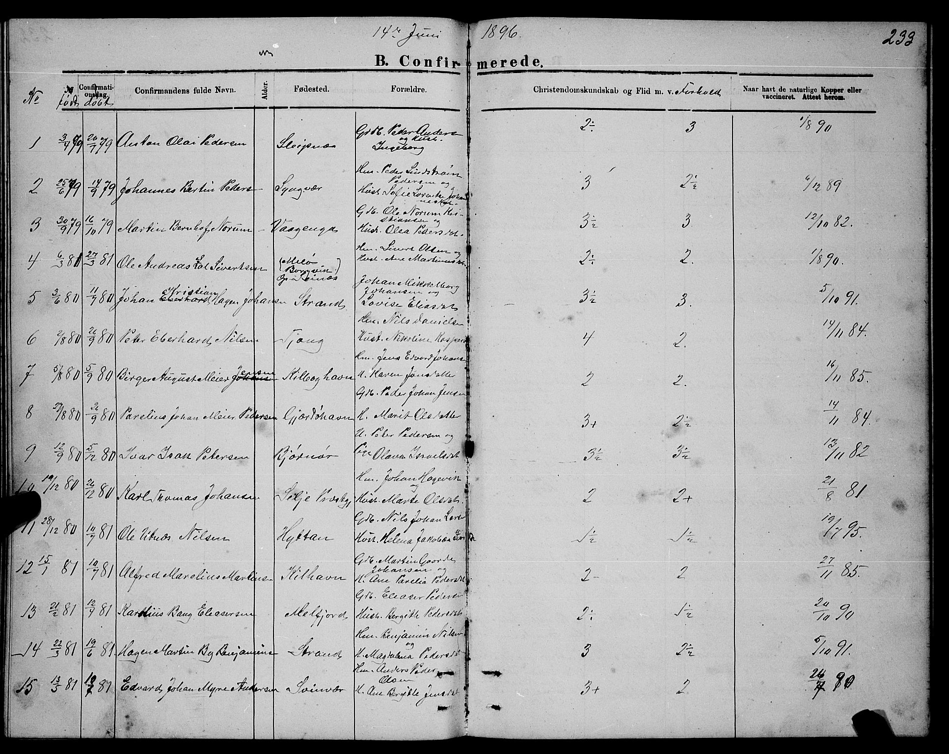 Ministerialprotokoller, klokkerbøker og fødselsregistre - Nordland, AV/SAT-A-1459/841/L0620: Parish register (copy) no. 841C04, 1877-1896, p. 233