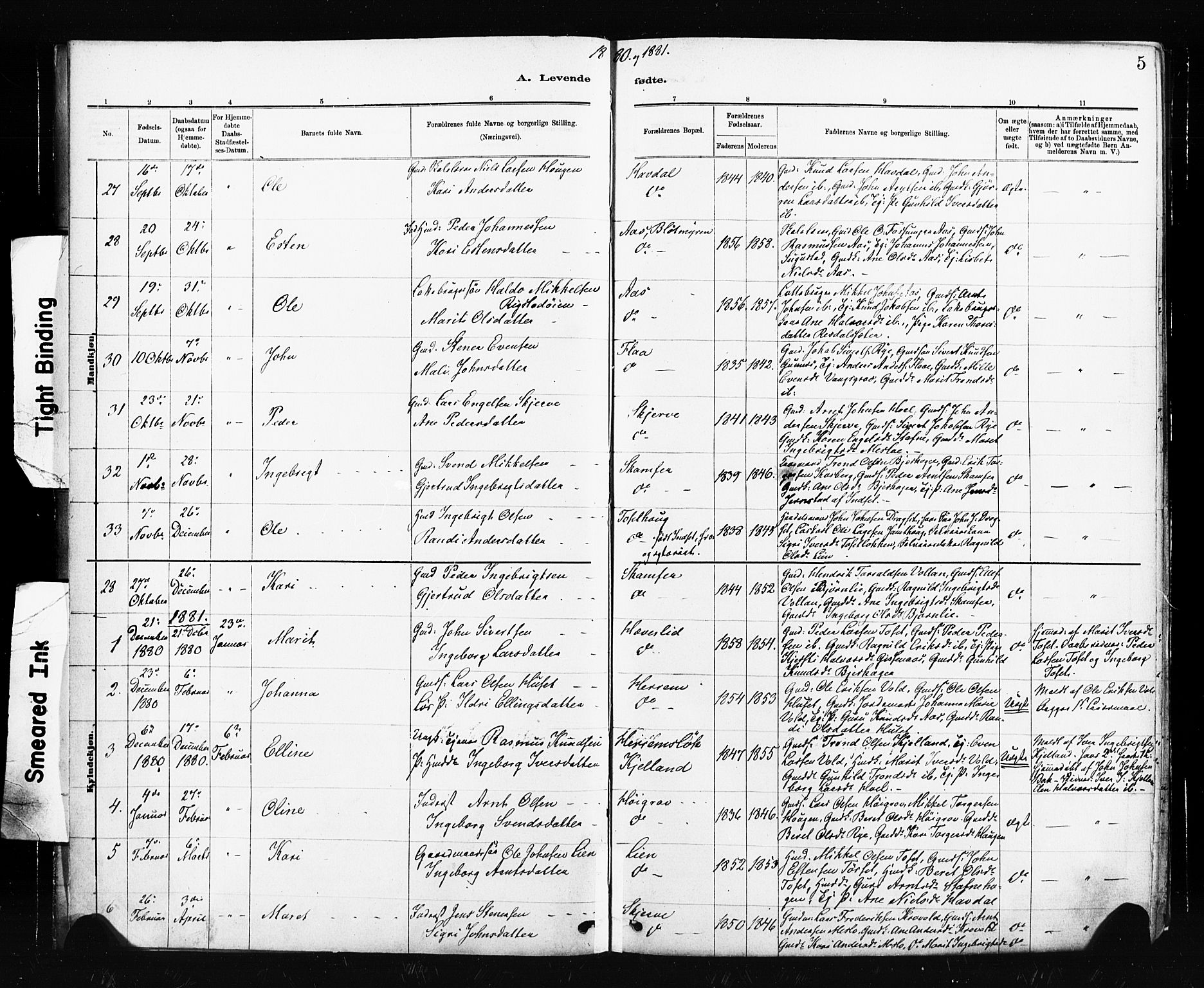 Ministerialprotokoller, klokkerbøker og fødselsregistre - Sør-Trøndelag, SAT/A-1456/674/L0871: Parish register (official) no. 674A03, 1880-1896, p. 5
