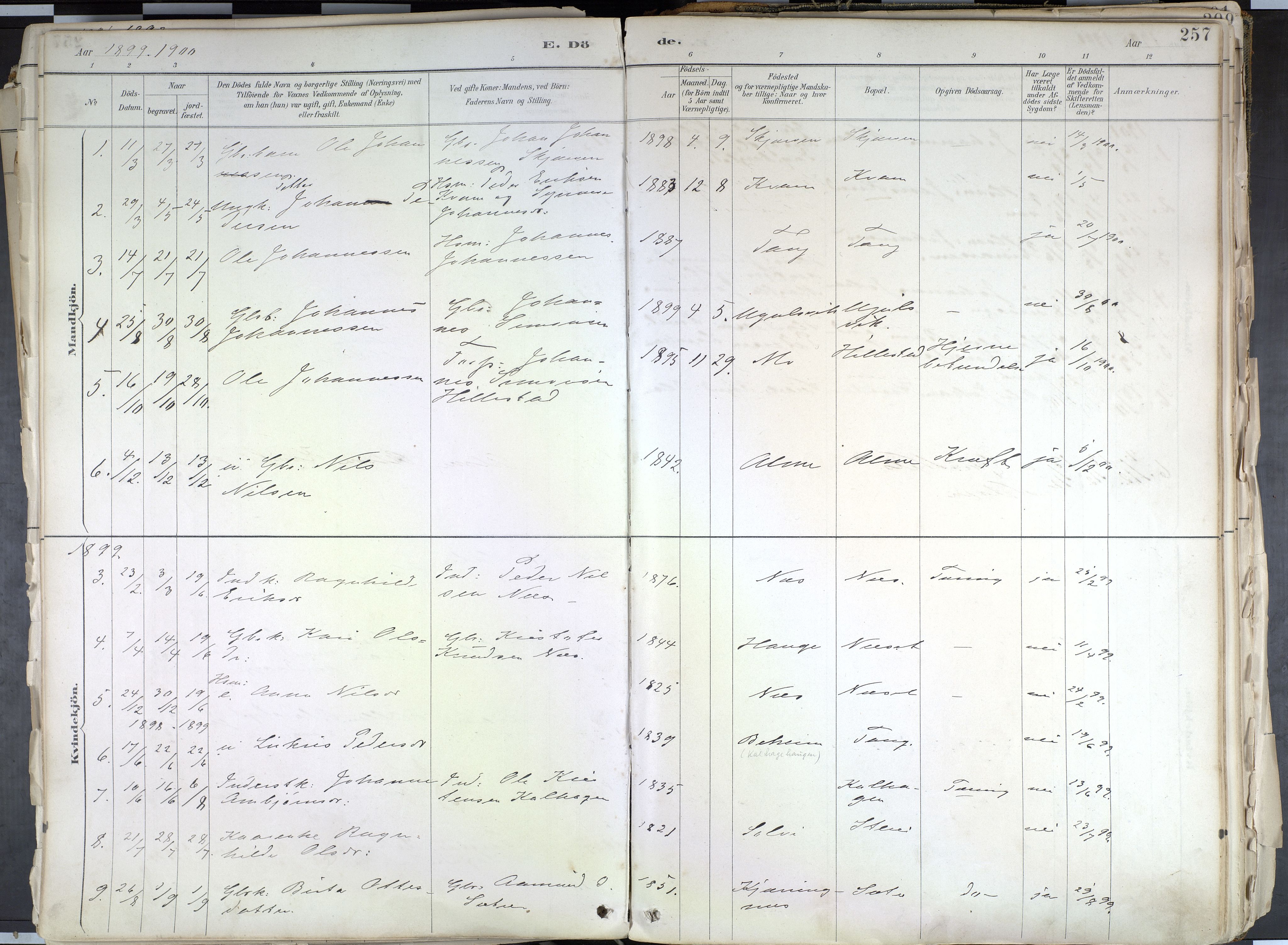 Hafslo sokneprestembete, AV/SAB-A-80301/H/Haa/Haab/L0001: Parish register (official) no. B 1, 1886-1945, p. 257