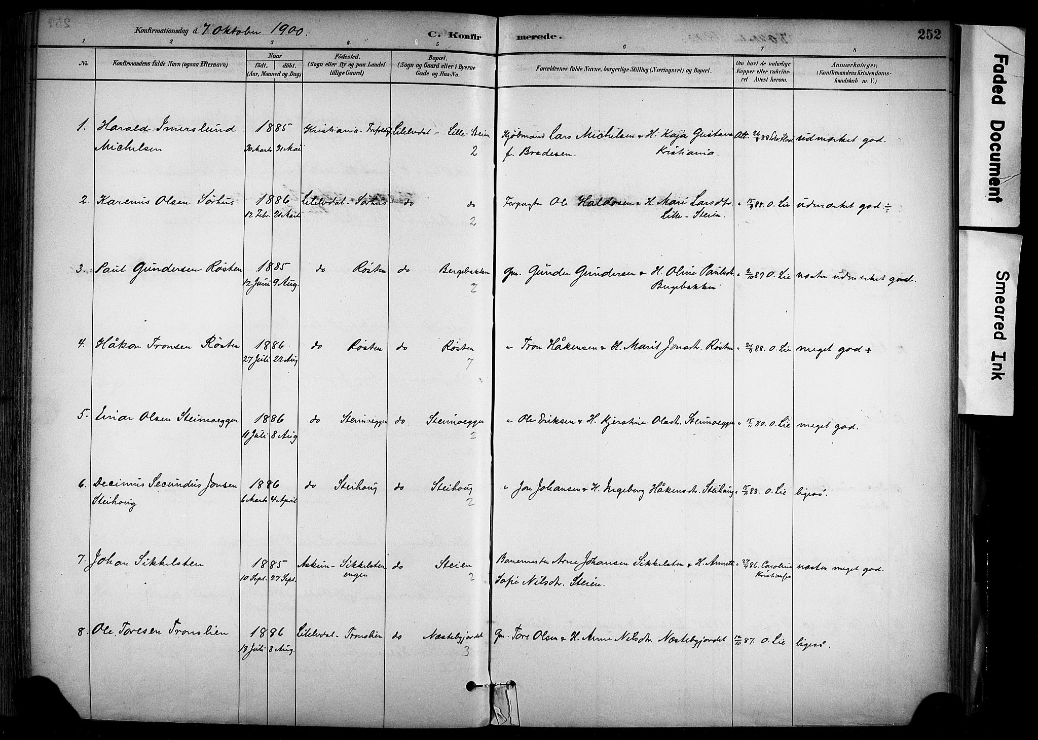 Alvdal prestekontor, SAH/PREST-060/H/Ha/Haa/L0002: Parish register (official) no. 2, 1883-1906, p. 252