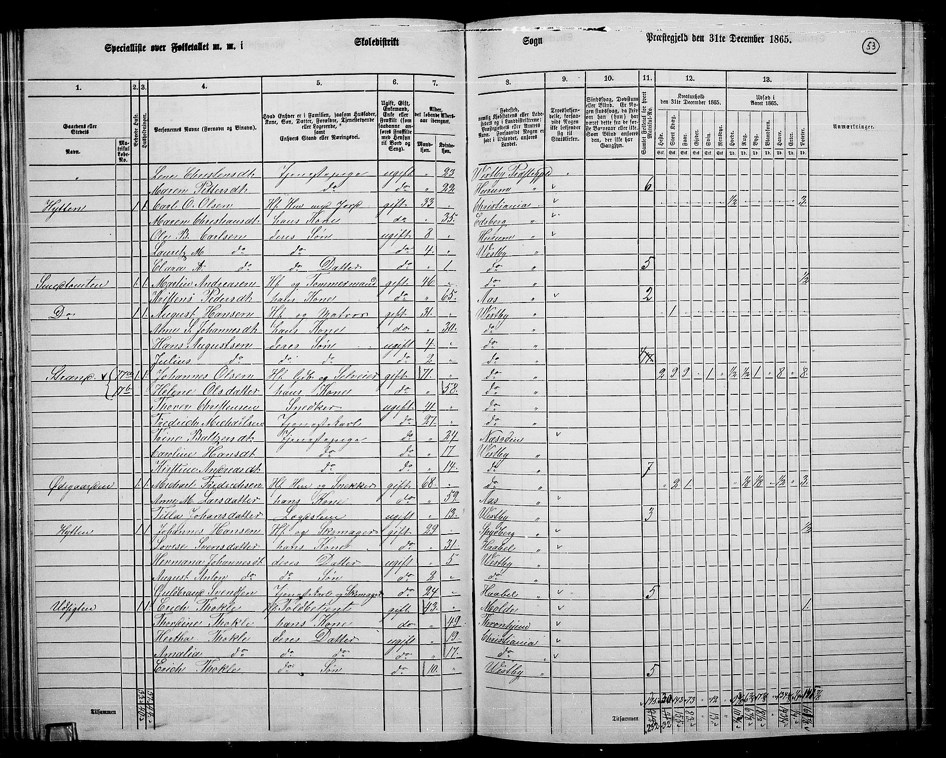 RA, 1865 census for Vestby, 1865, p. 49