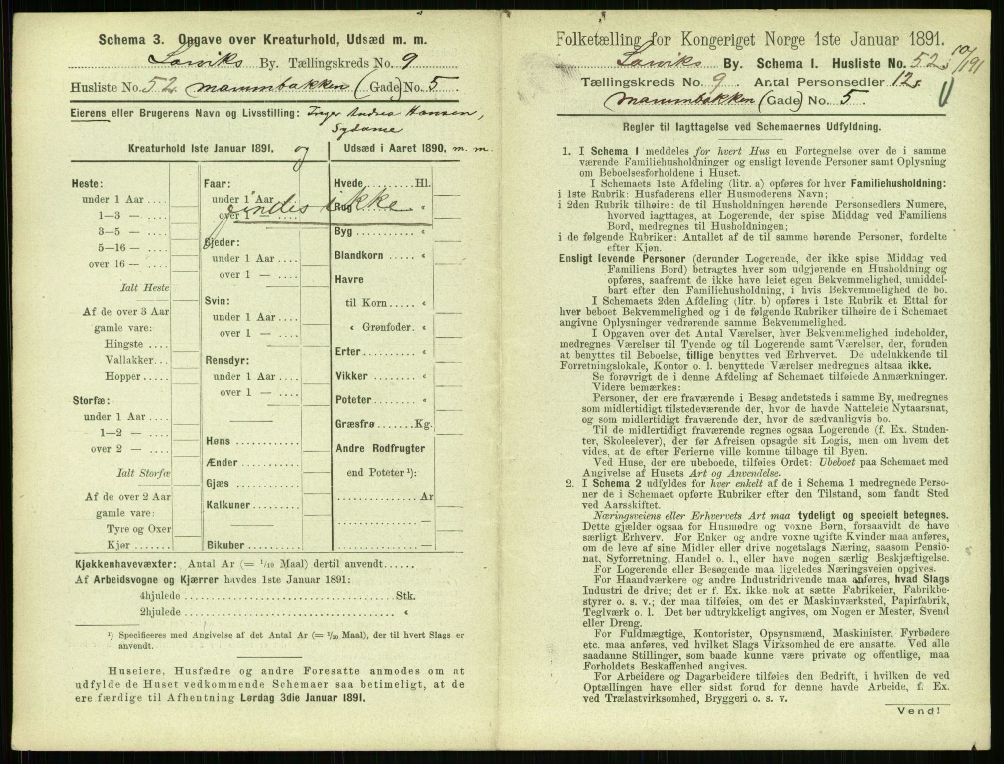 RA, 1891 census for 0707 Larvik, 1891, p. 1223