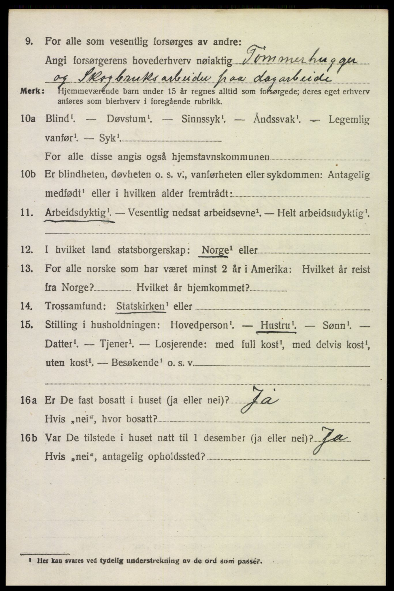 SAH, 1920 census for Trysil, 1920, p. 15228