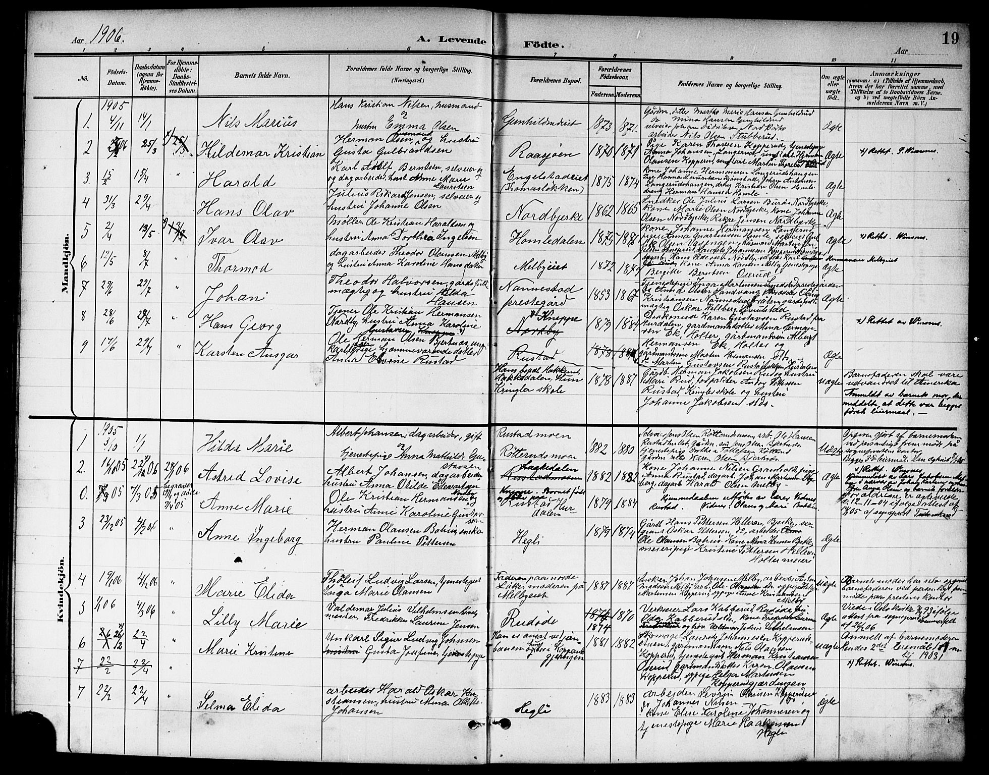 Nannestad prestekontor Kirkebøker, SAO/A-10414a/G/Ga/L0002: Parish register (copy) no. I 2, 1901-1913, p. 19