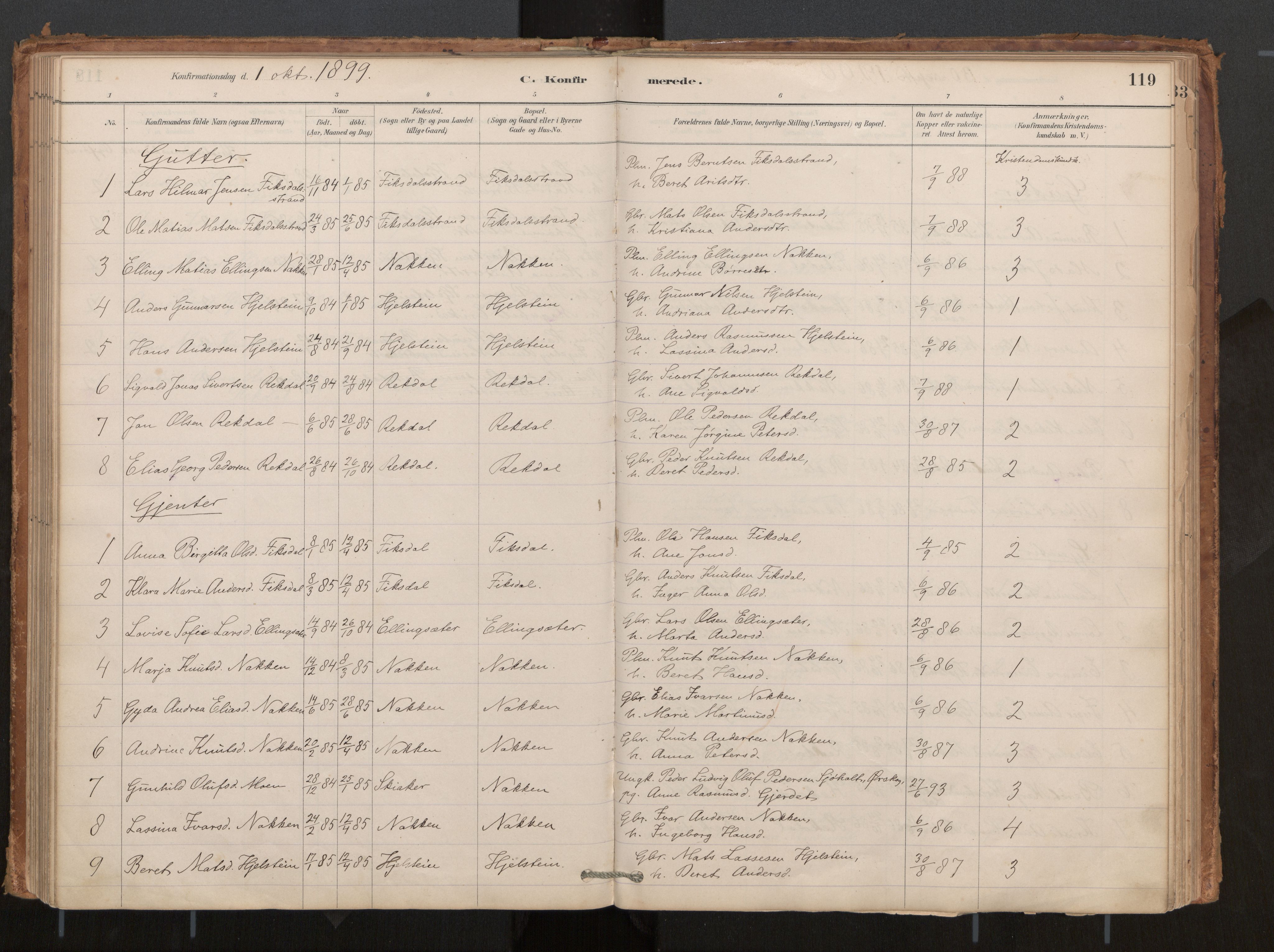 Ministerialprotokoller, klokkerbøker og fødselsregistre - Møre og Romsdal, AV/SAT-A-1454/540/L0540a: Parish register (official) no. 540A02, 1884-1908, p. 119