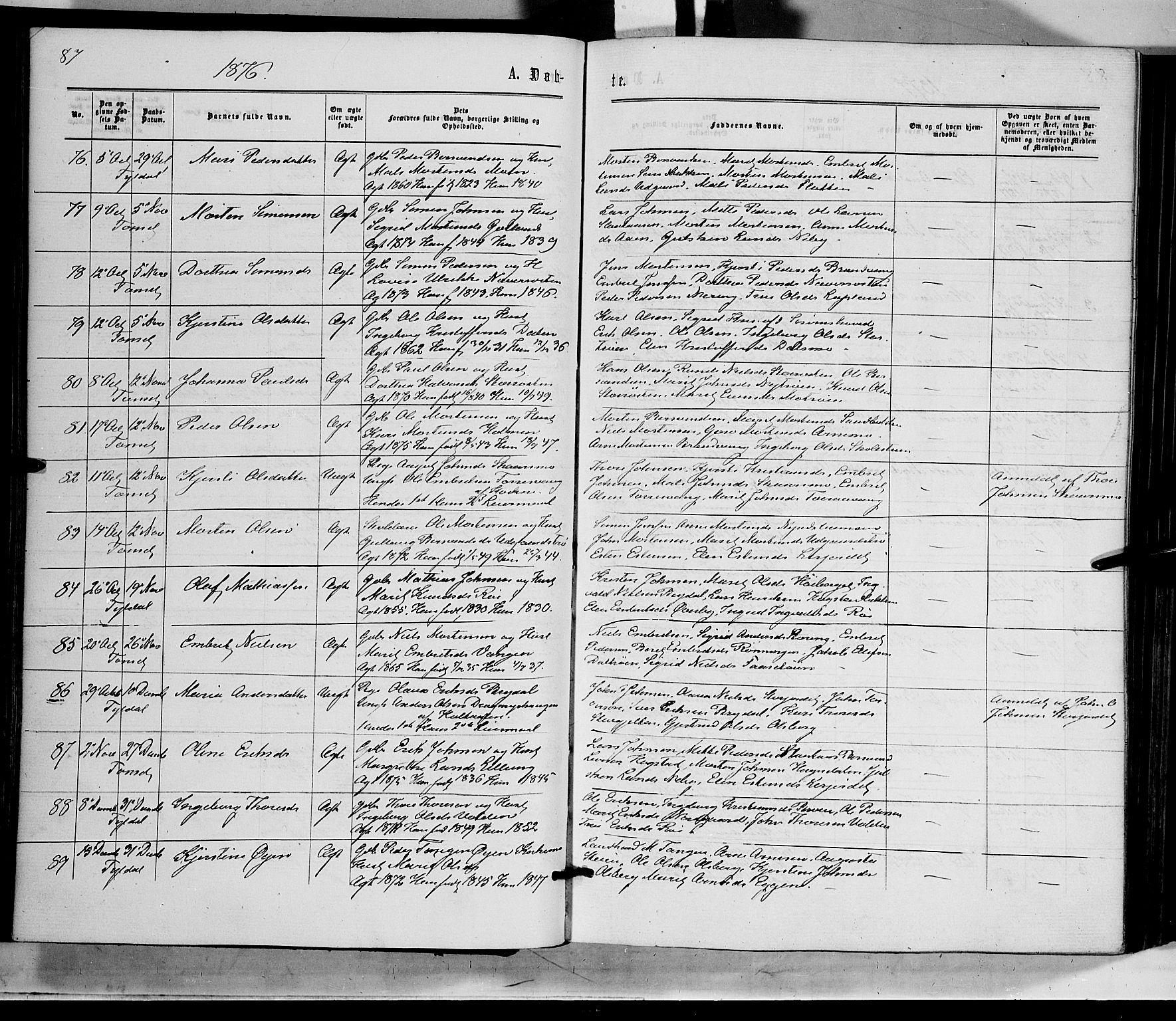 Tynset prestekontor, AV/SAH-PREST-058/H/Ha/Haa/L0021: Parish register (official) no. 21, 1863-1879, p. 87