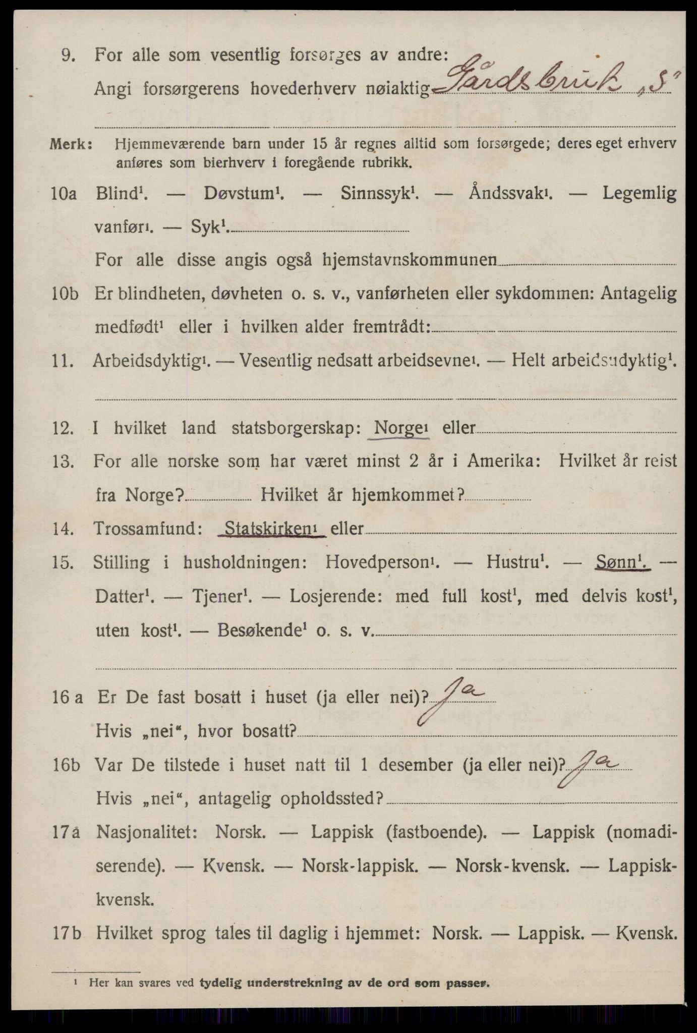 SAT, 1920 census for Nes (ST), 1920, p. 460